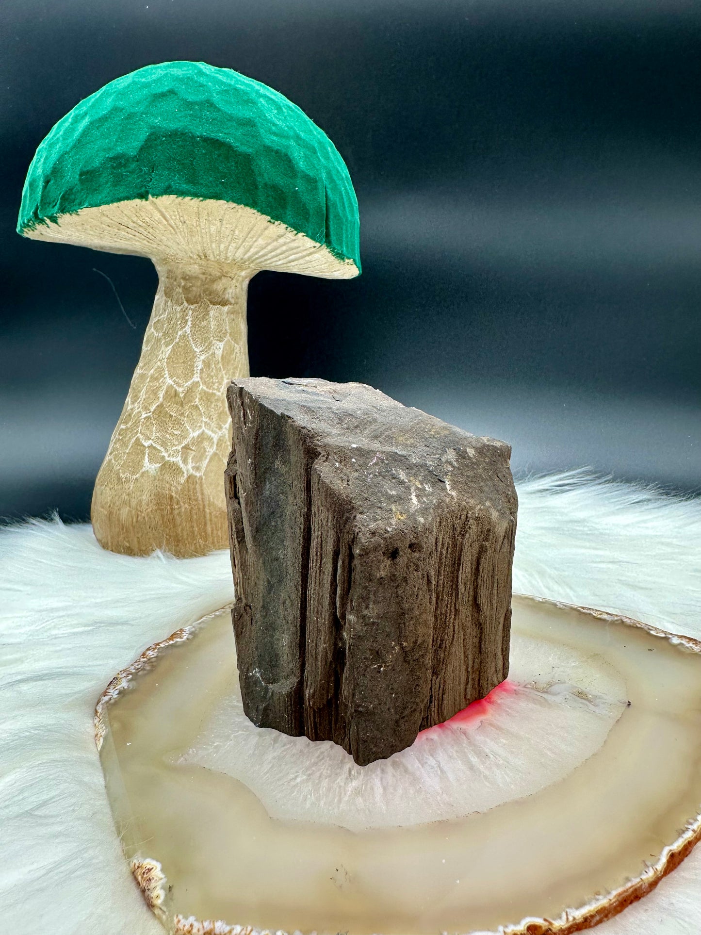Versteinertes Holz - Feenholz