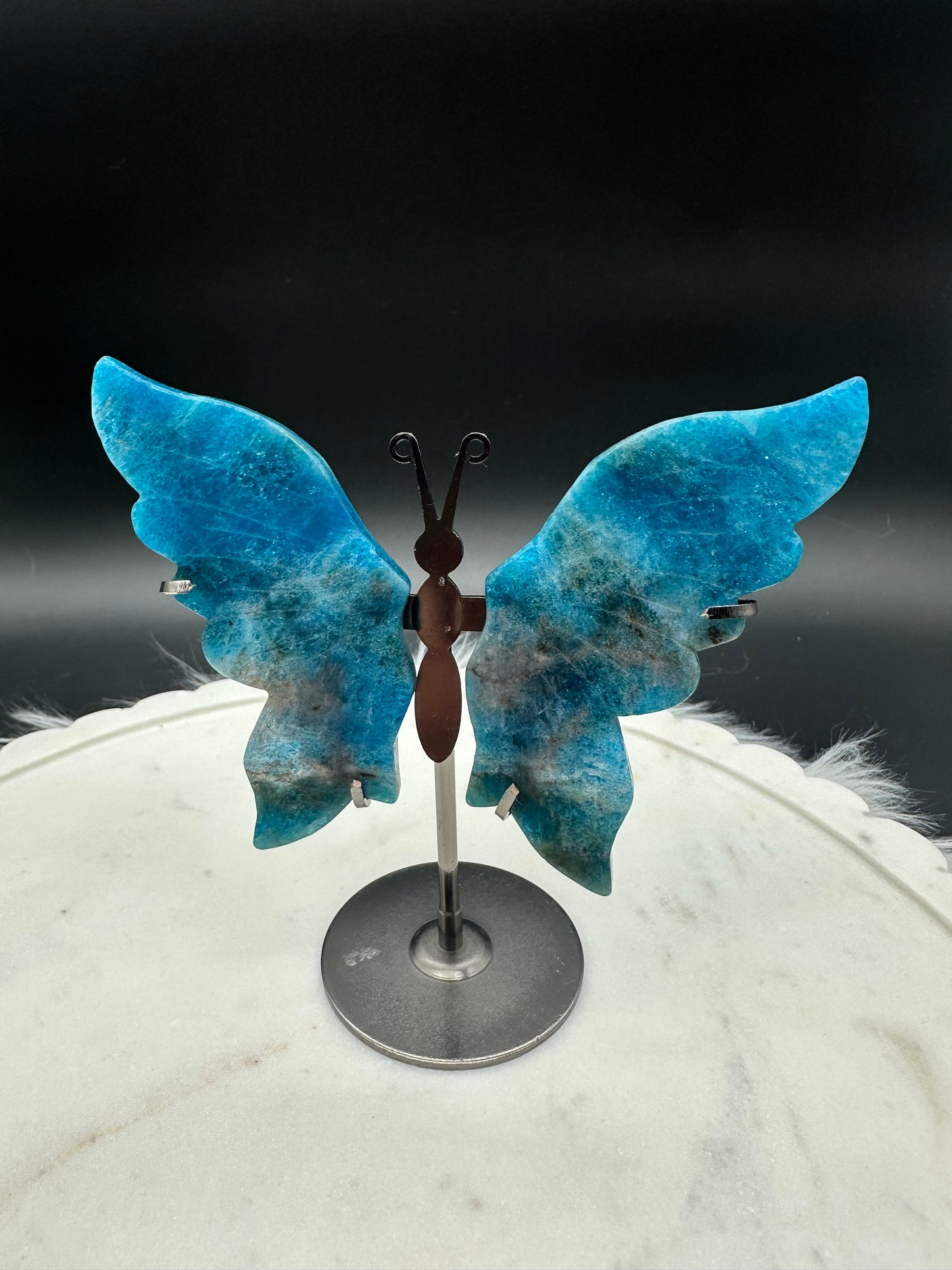 Apatit Schmetterling