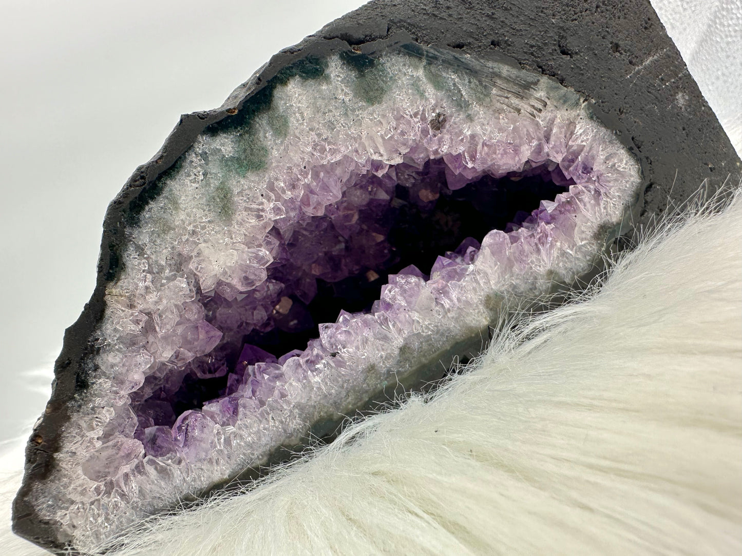Amethystdruse aus Brasilien