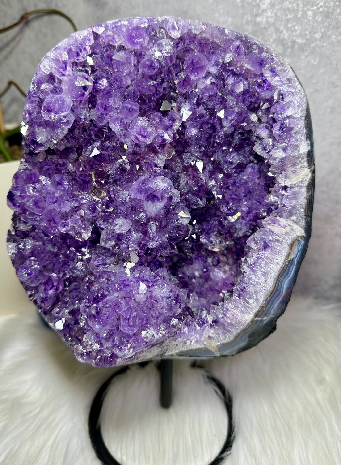 Amethystdruse auf Ständer