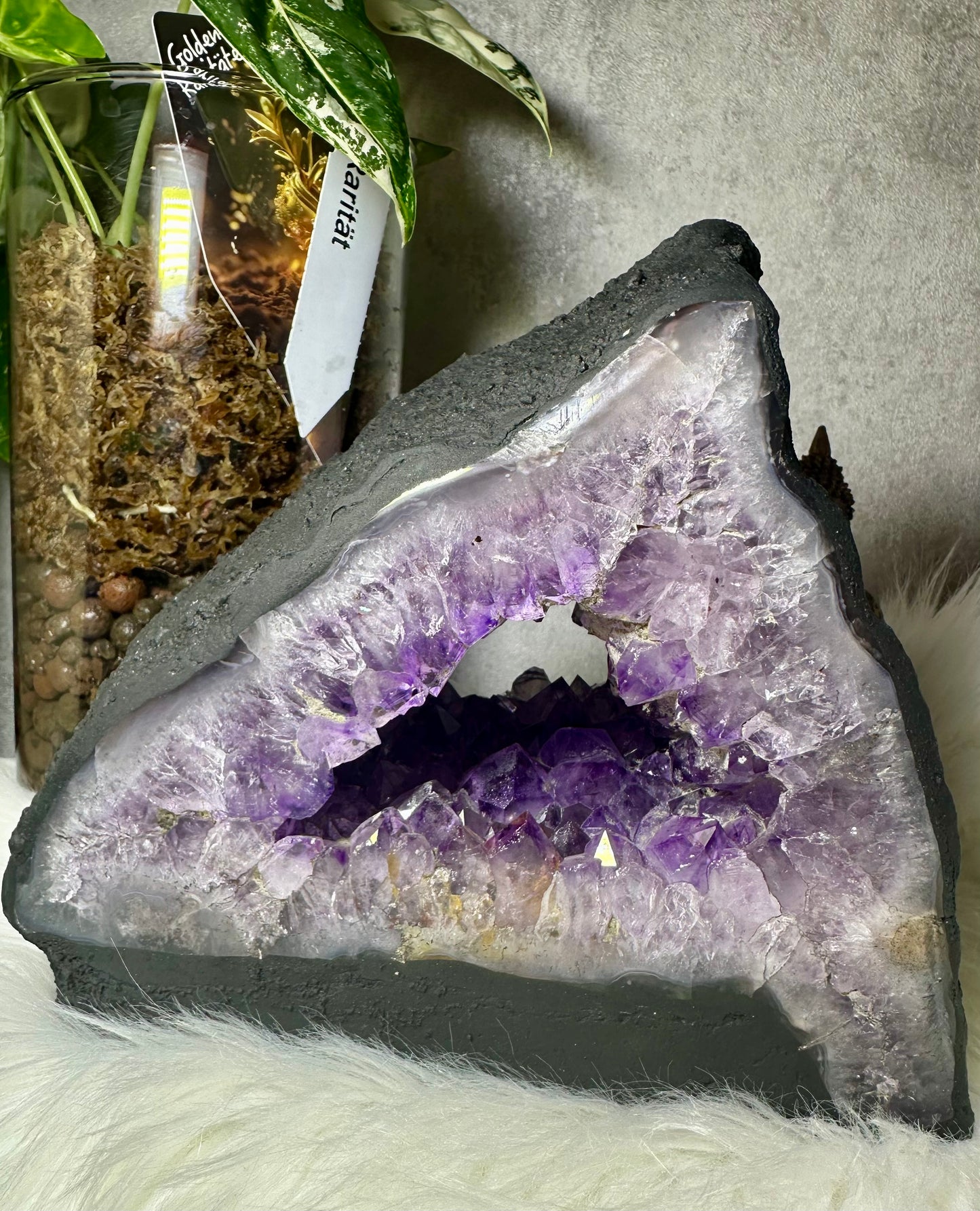 Amethyst Druse - Madagaskar