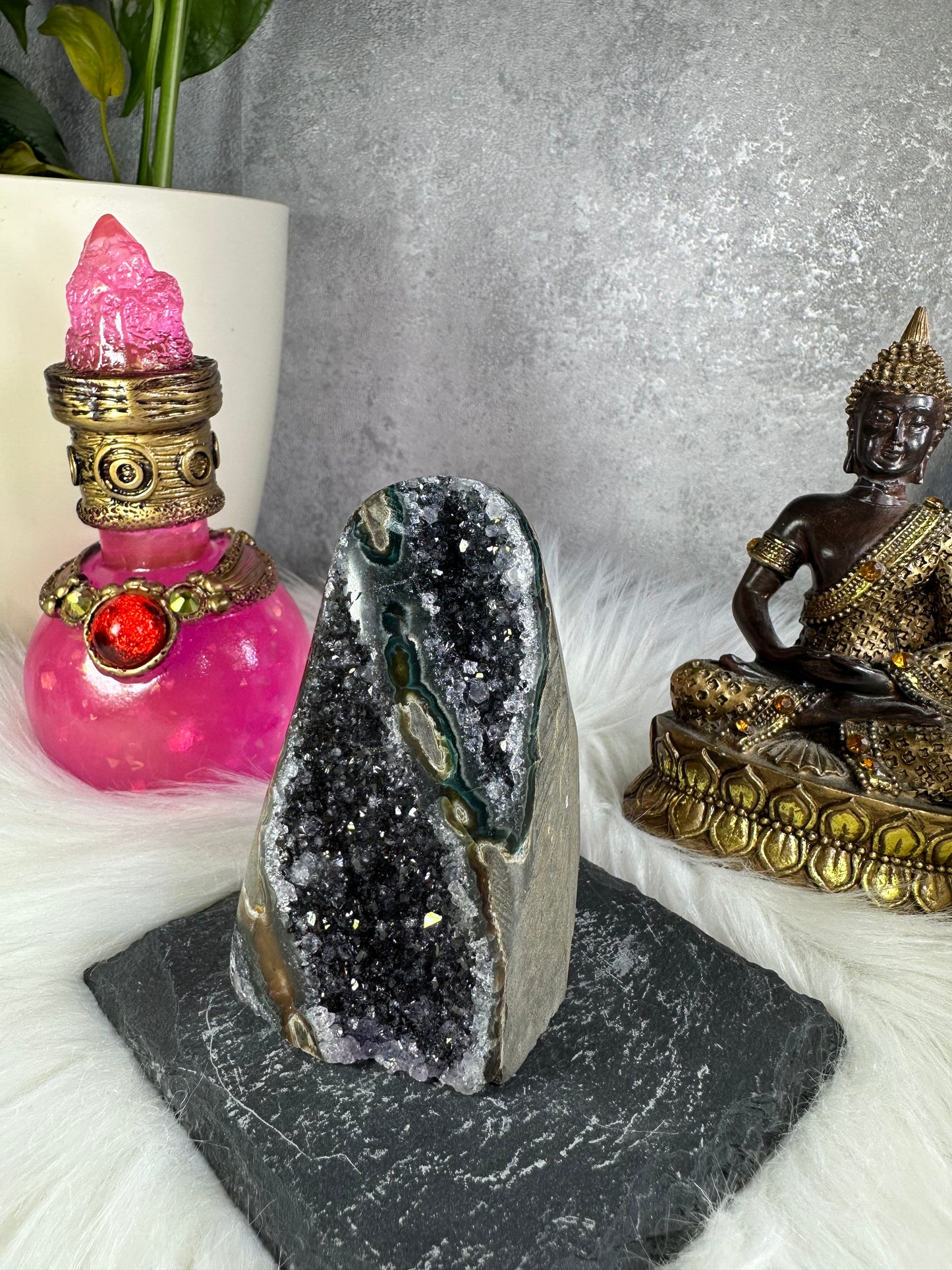 Lila Amethyst Druse