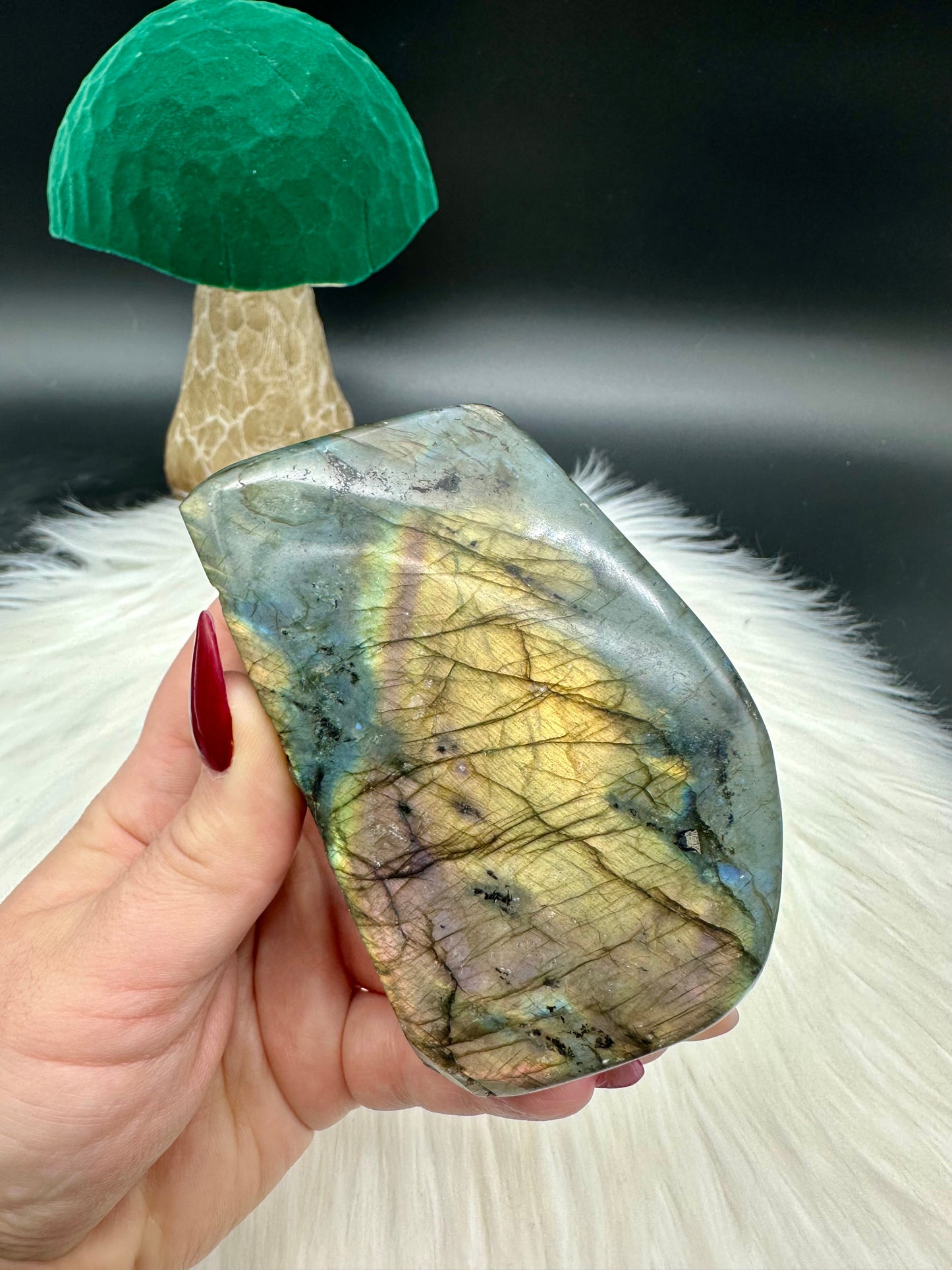 Labradorit Freiform - XI