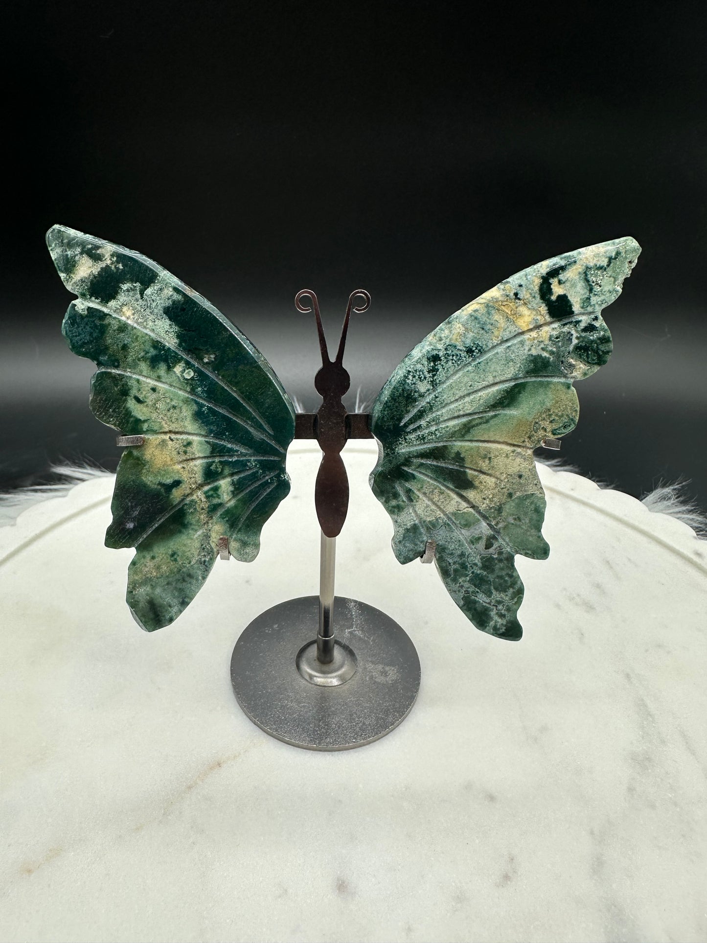 Moosachat Schmetterling