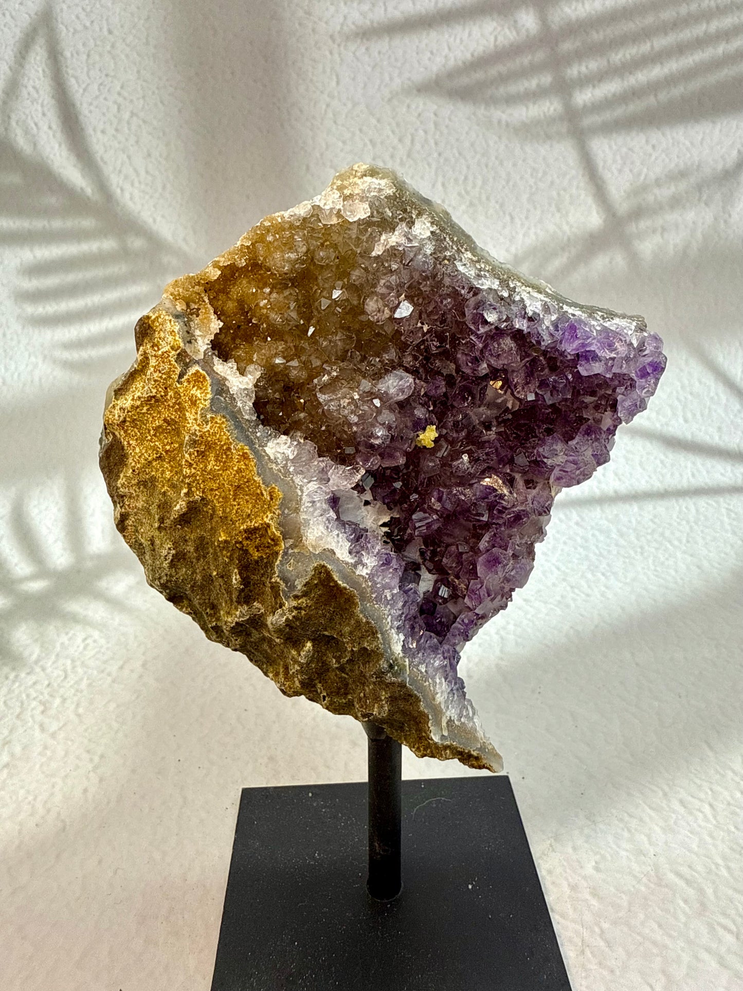 Amethyst Druse auf Ständer V