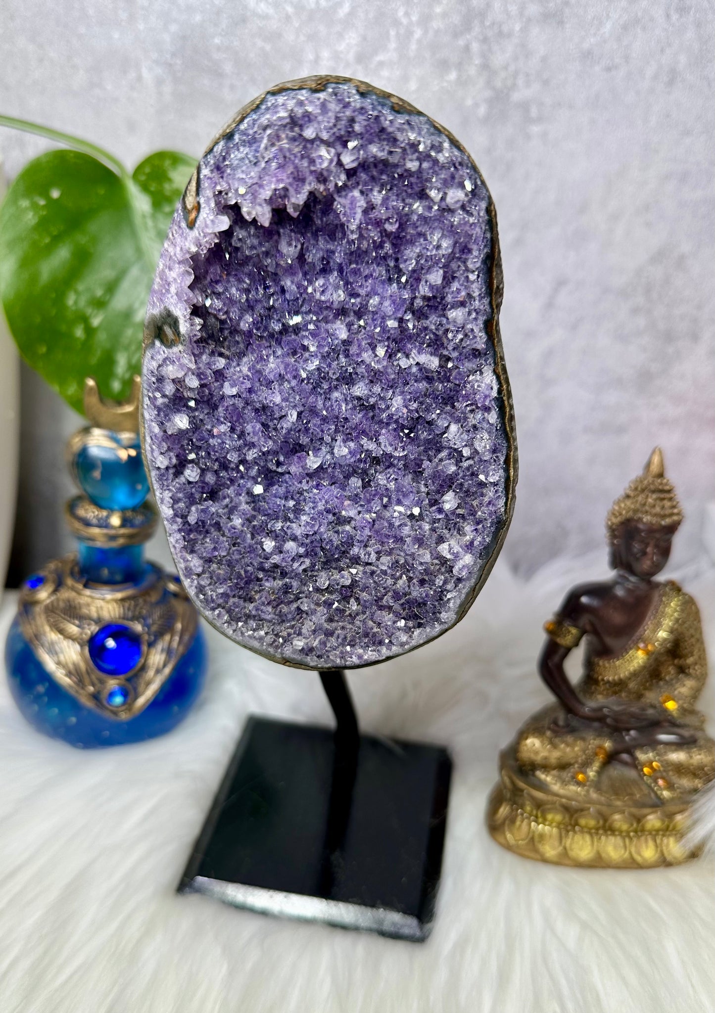 Amethyst Druse