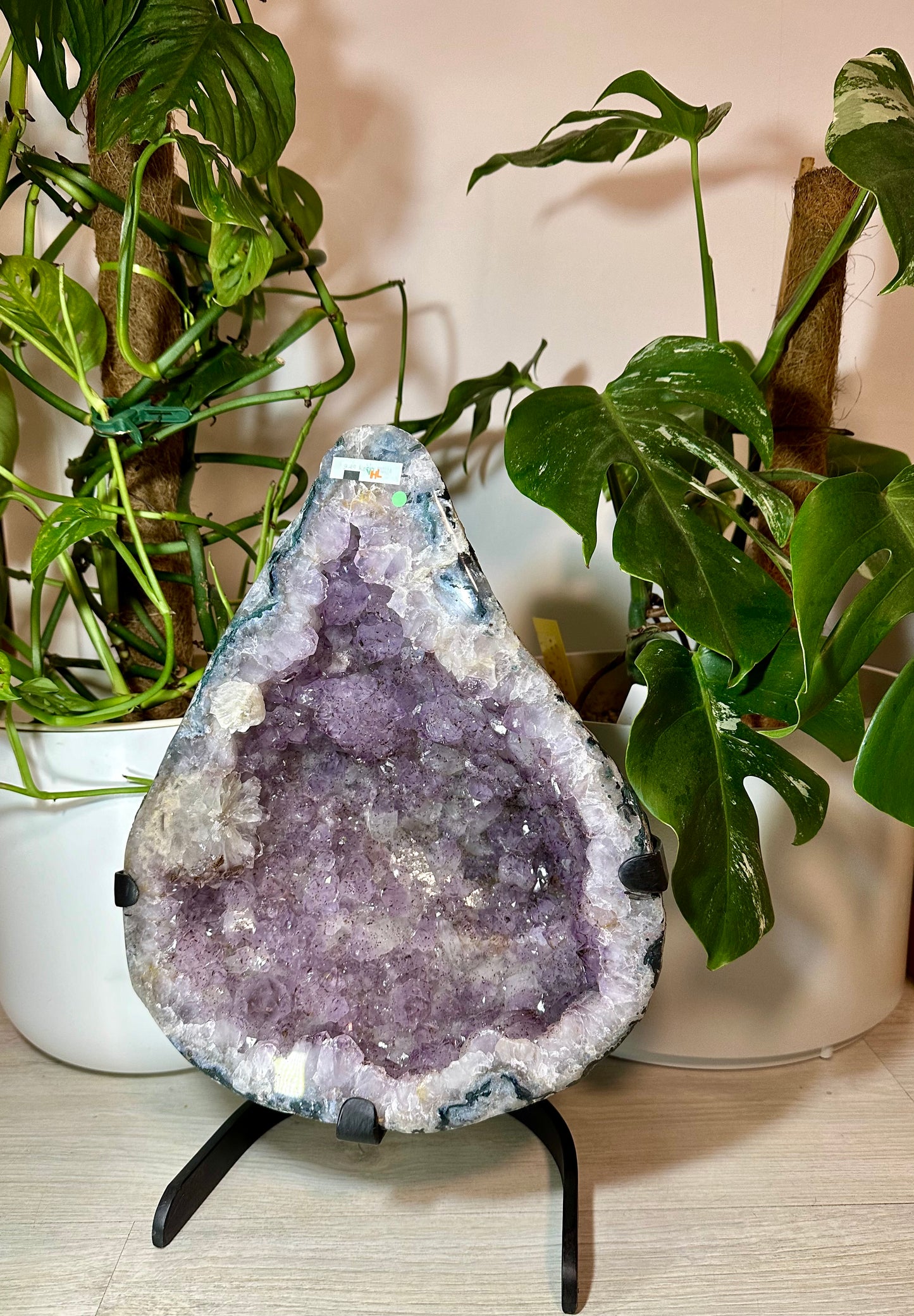XXL Amethyst Druse 10kg - Brasilien