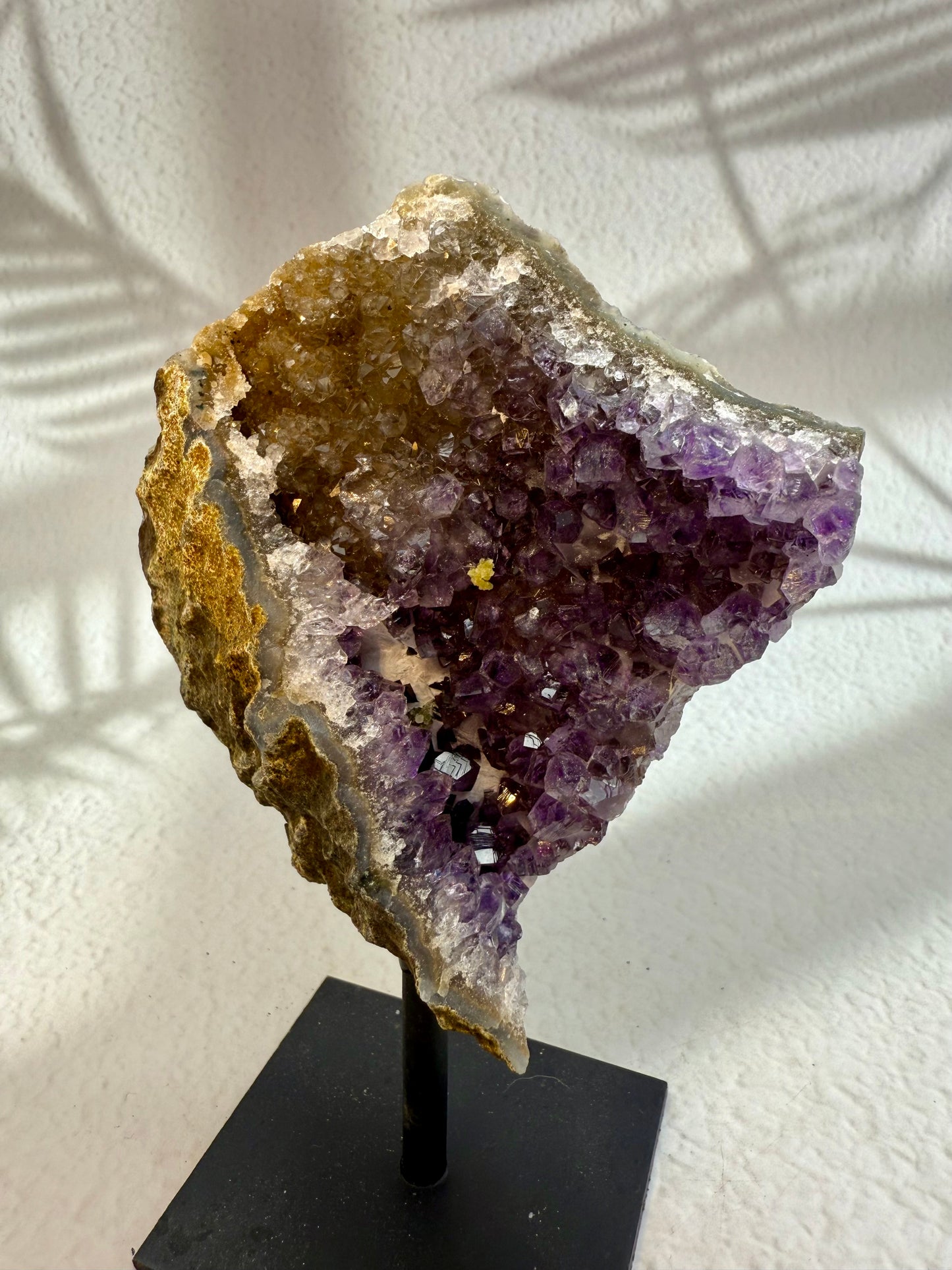 Amethyst Druse auf Ständer V