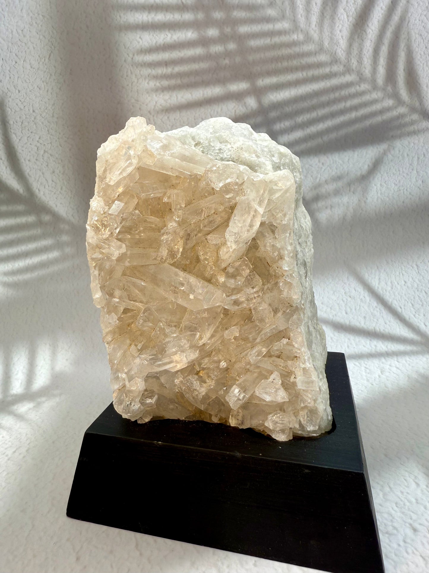 Bergkristall Druse auf Holzsockel I