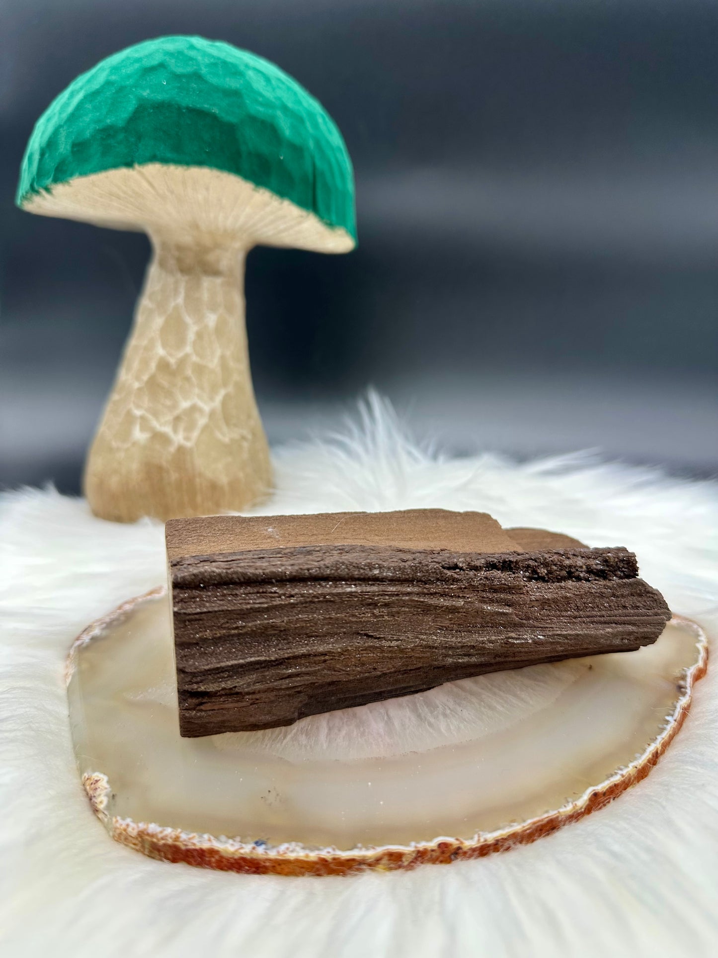 Versteinertes Holz - Feenholz