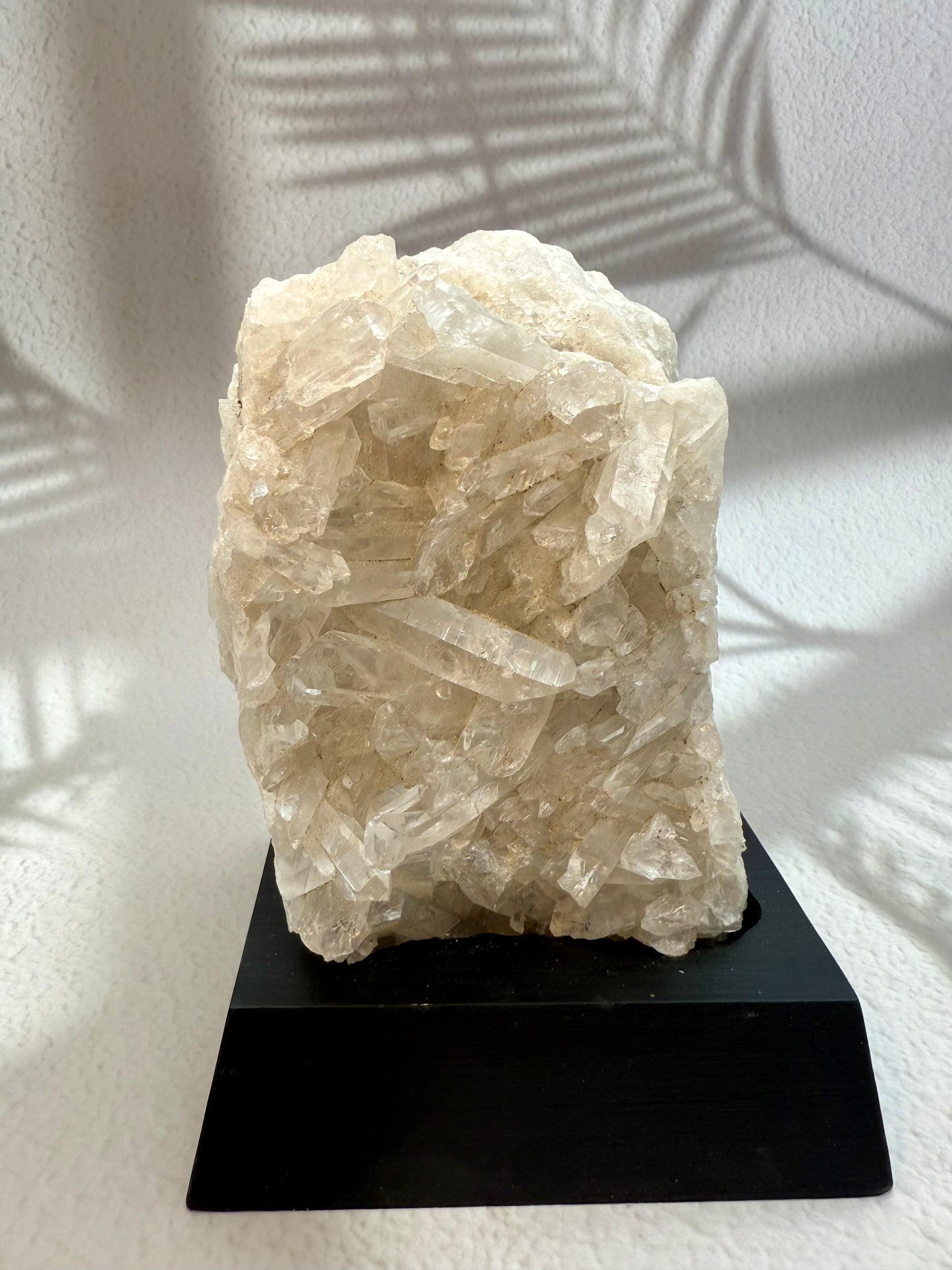 Bergkristall Druse auf Holzsockel I