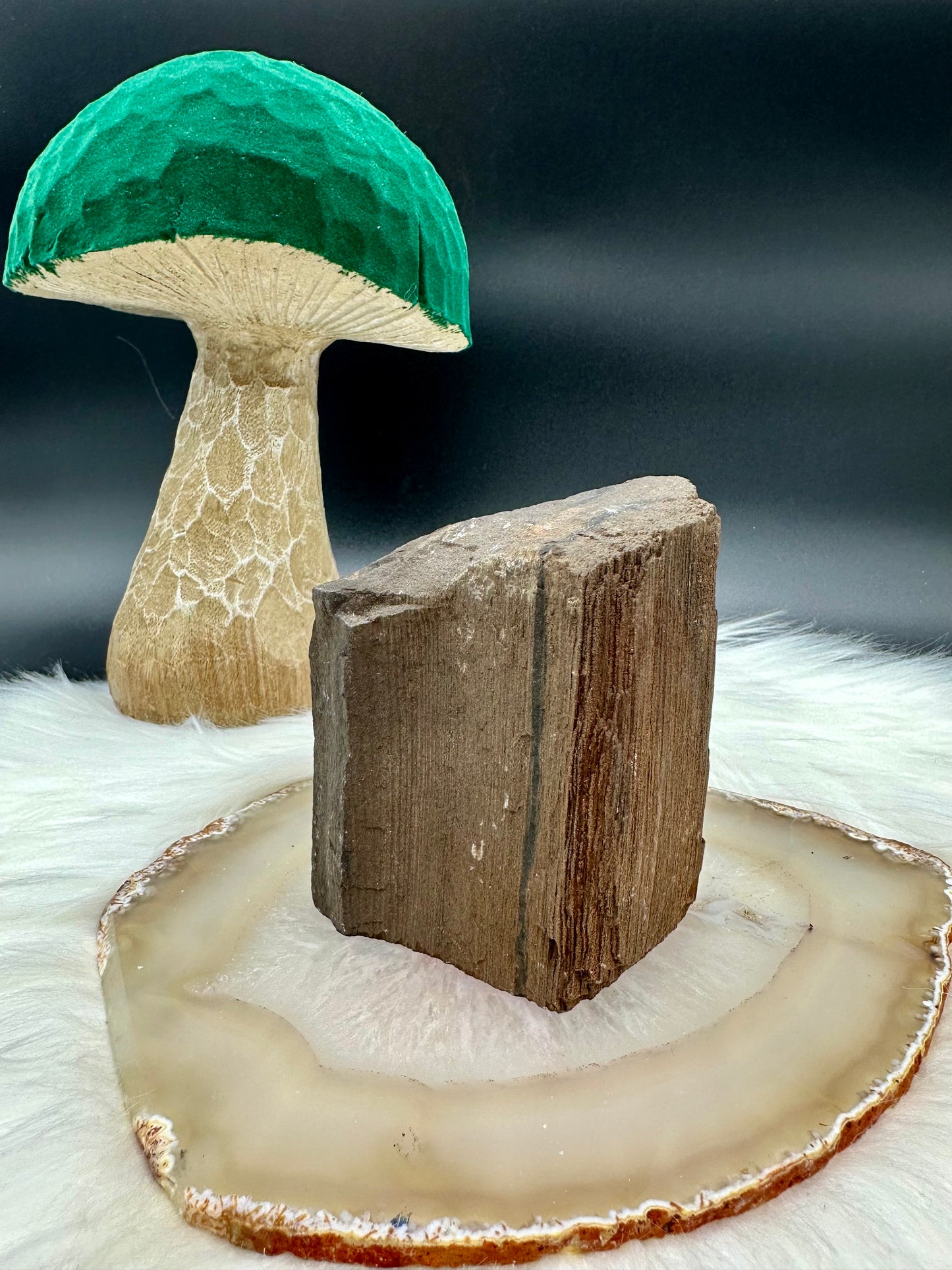 Versteinertes Holz - Feenholz