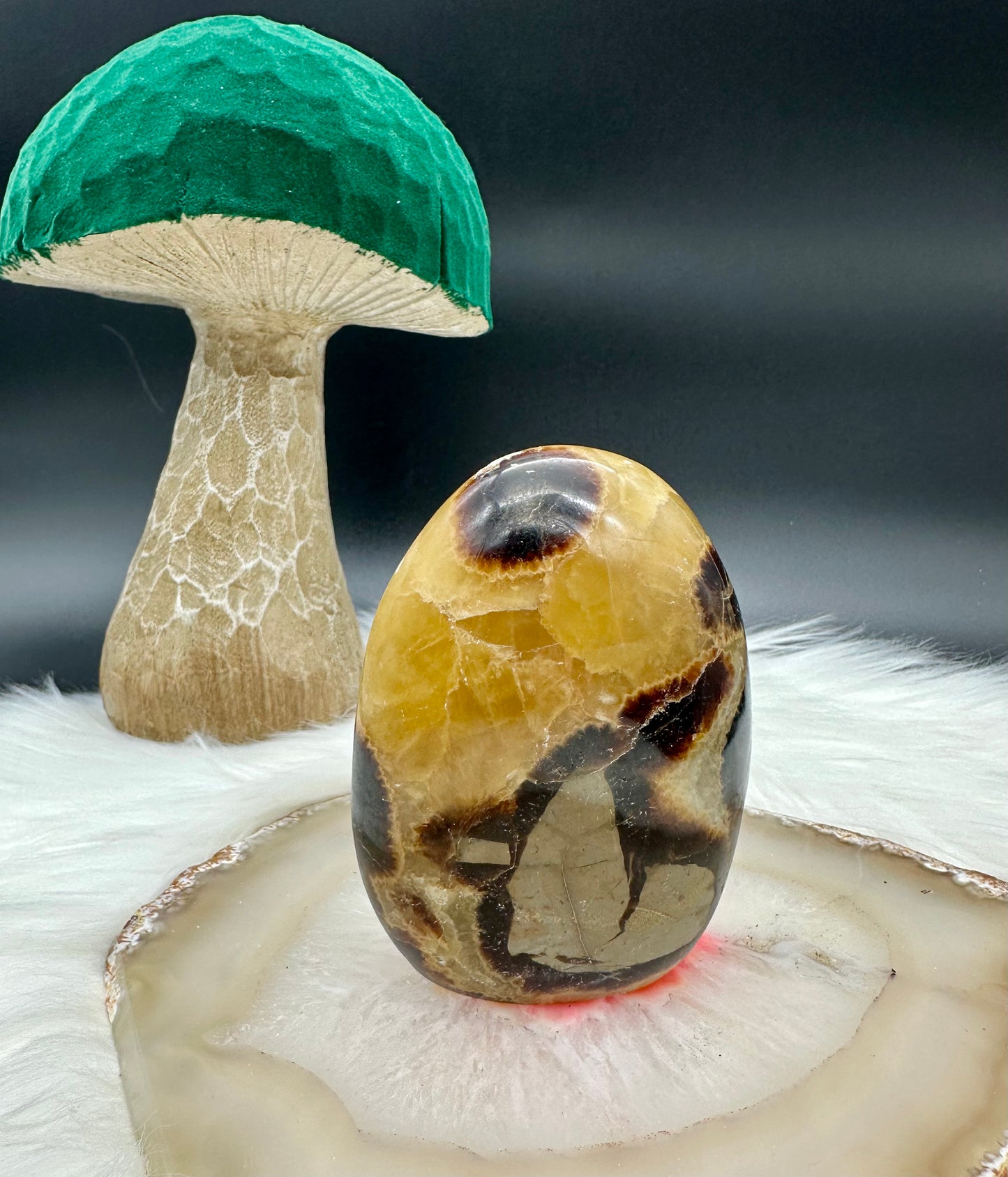 Septarie Freeform