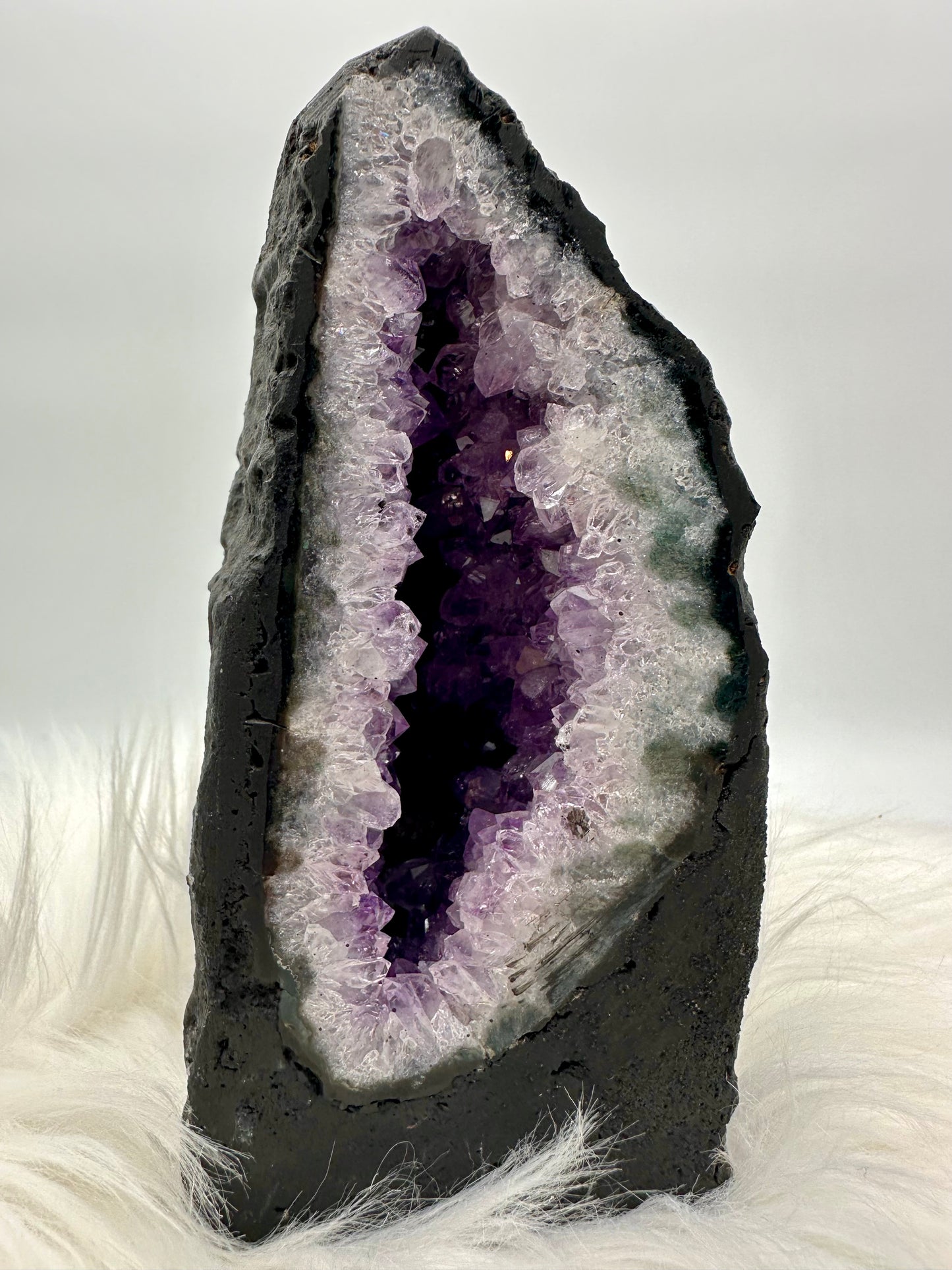 Amethystdruse aus Brasilien