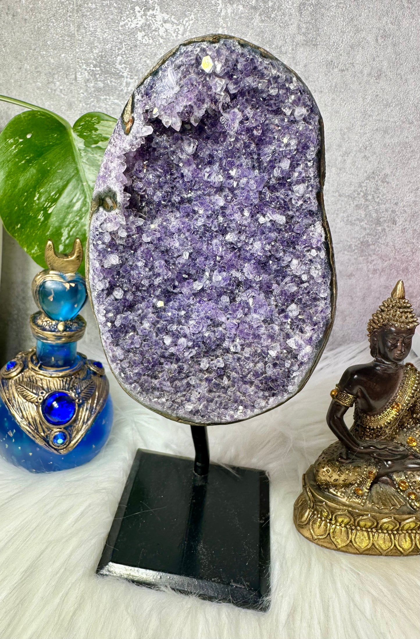 Amethyst Druse