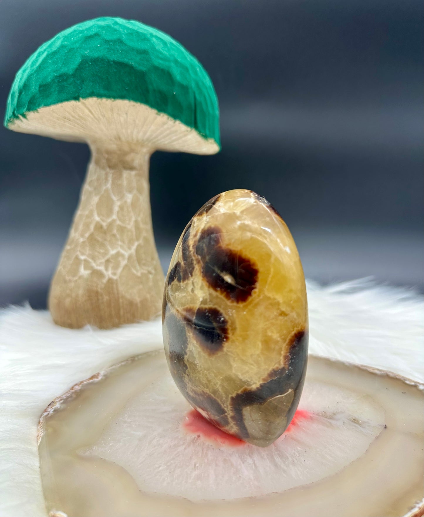 Septarie Freeform