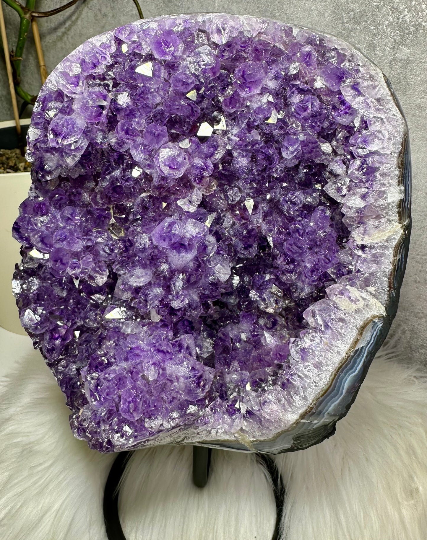 Amethystdruse auf Ständer