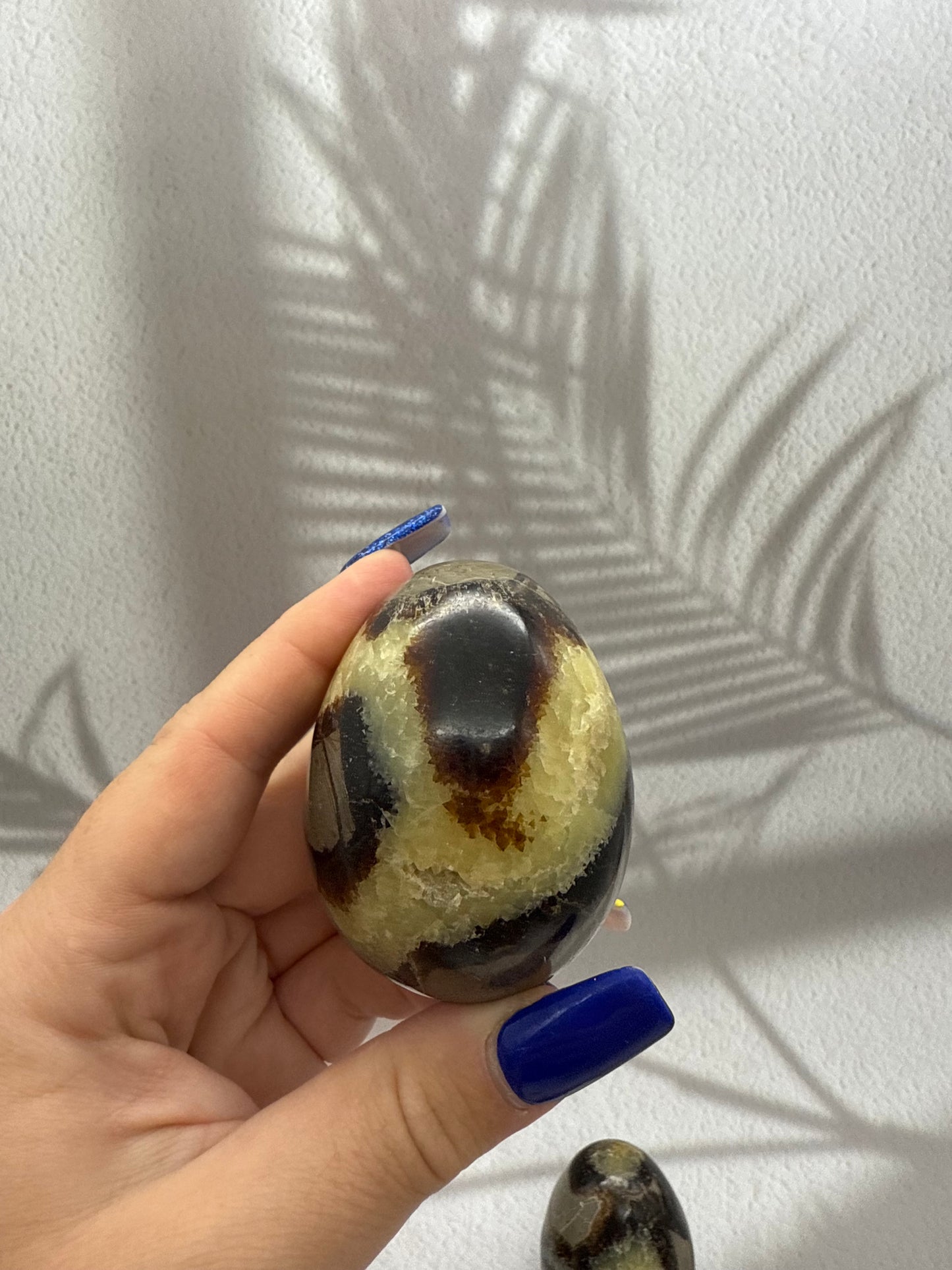 Septarie Eier