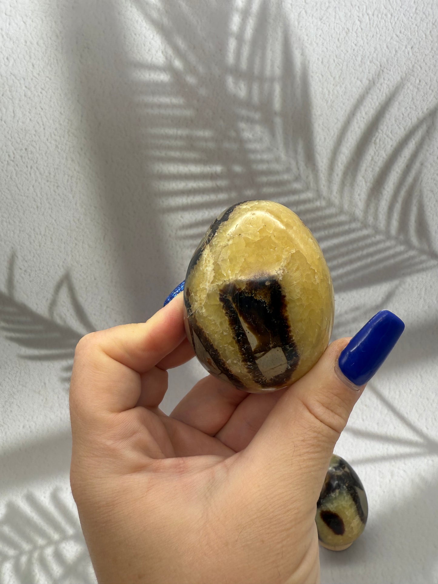 Septarie Eier