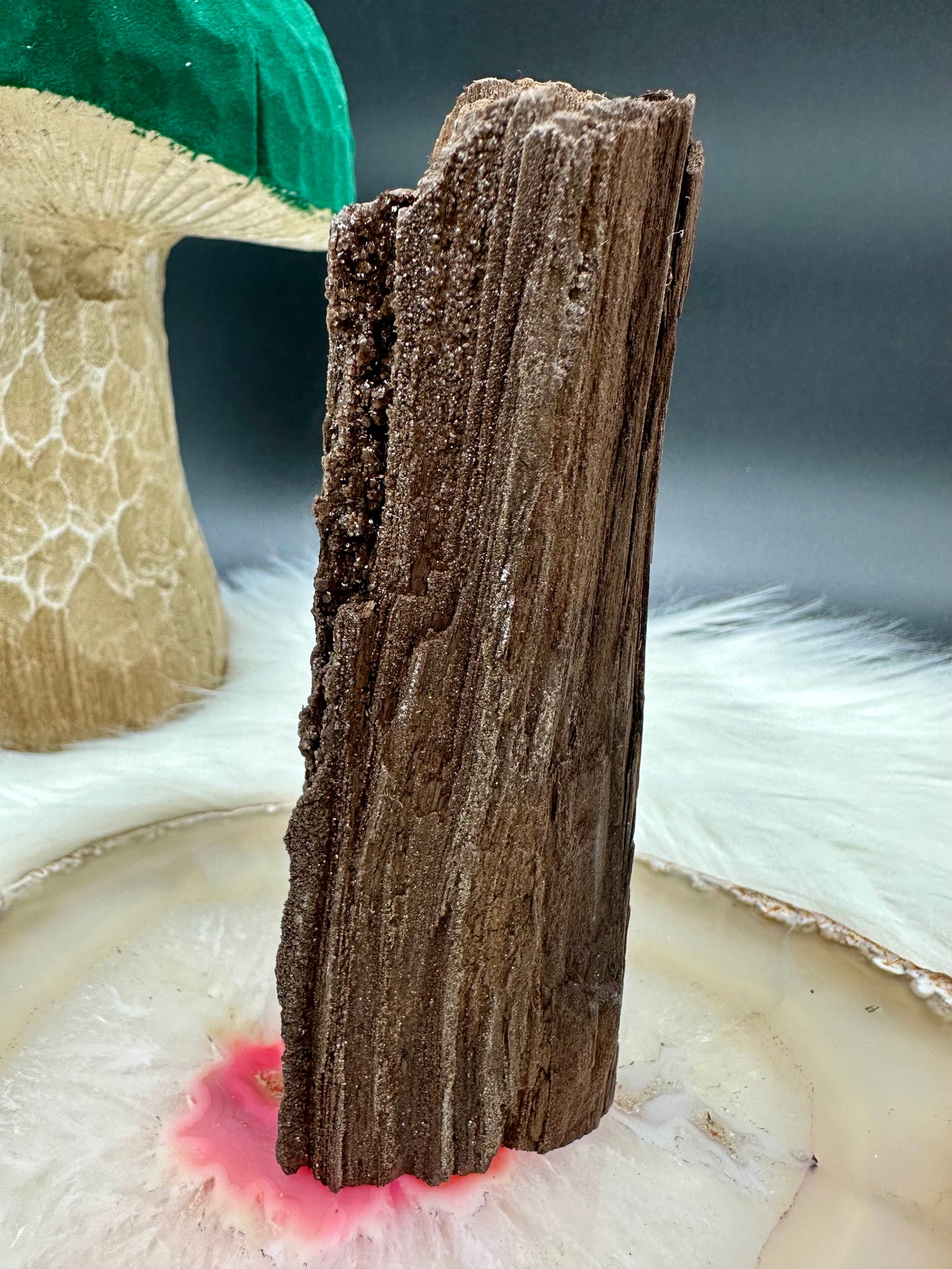 Versteinertes Holz - Feenholz