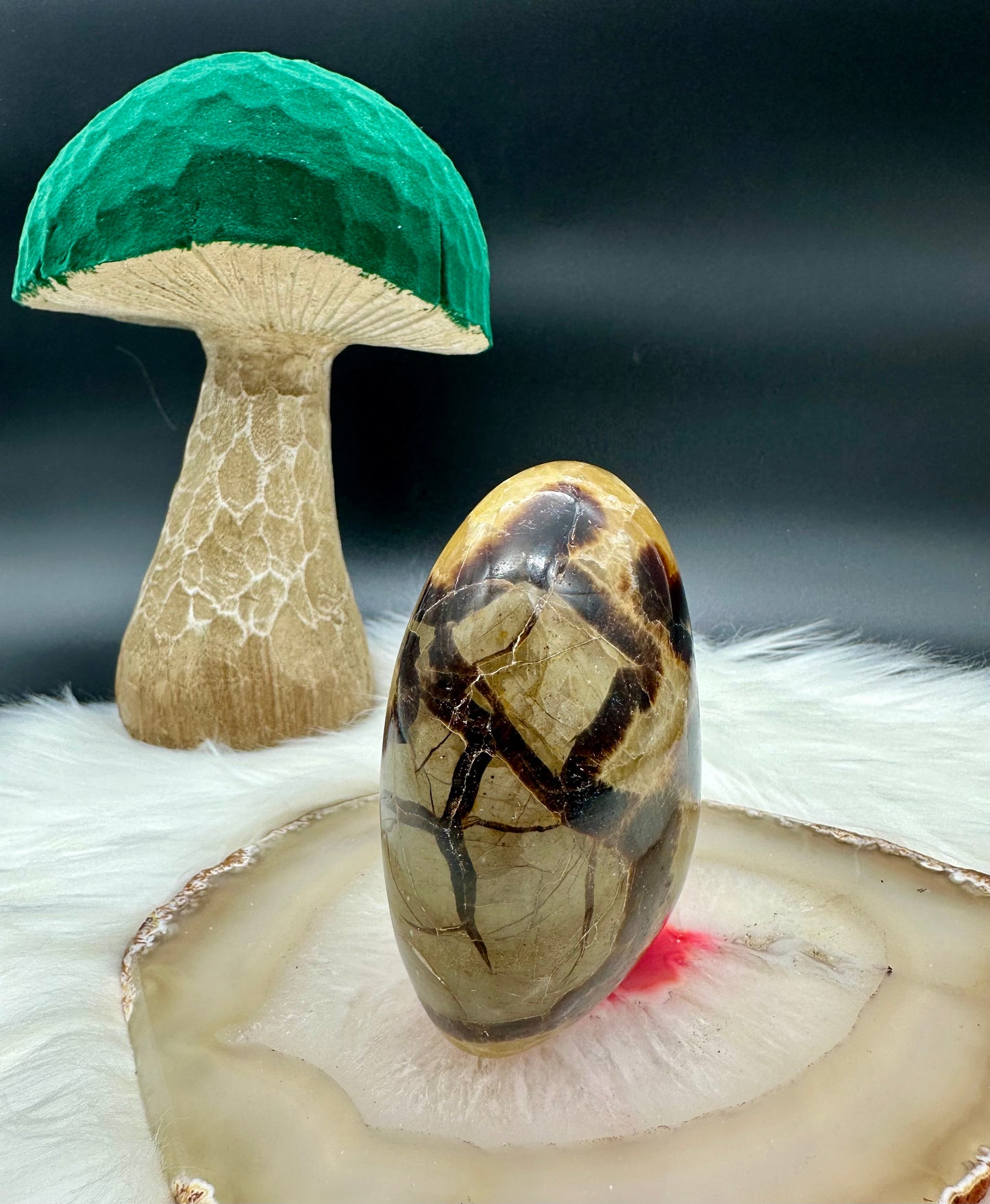Septarie Freeform