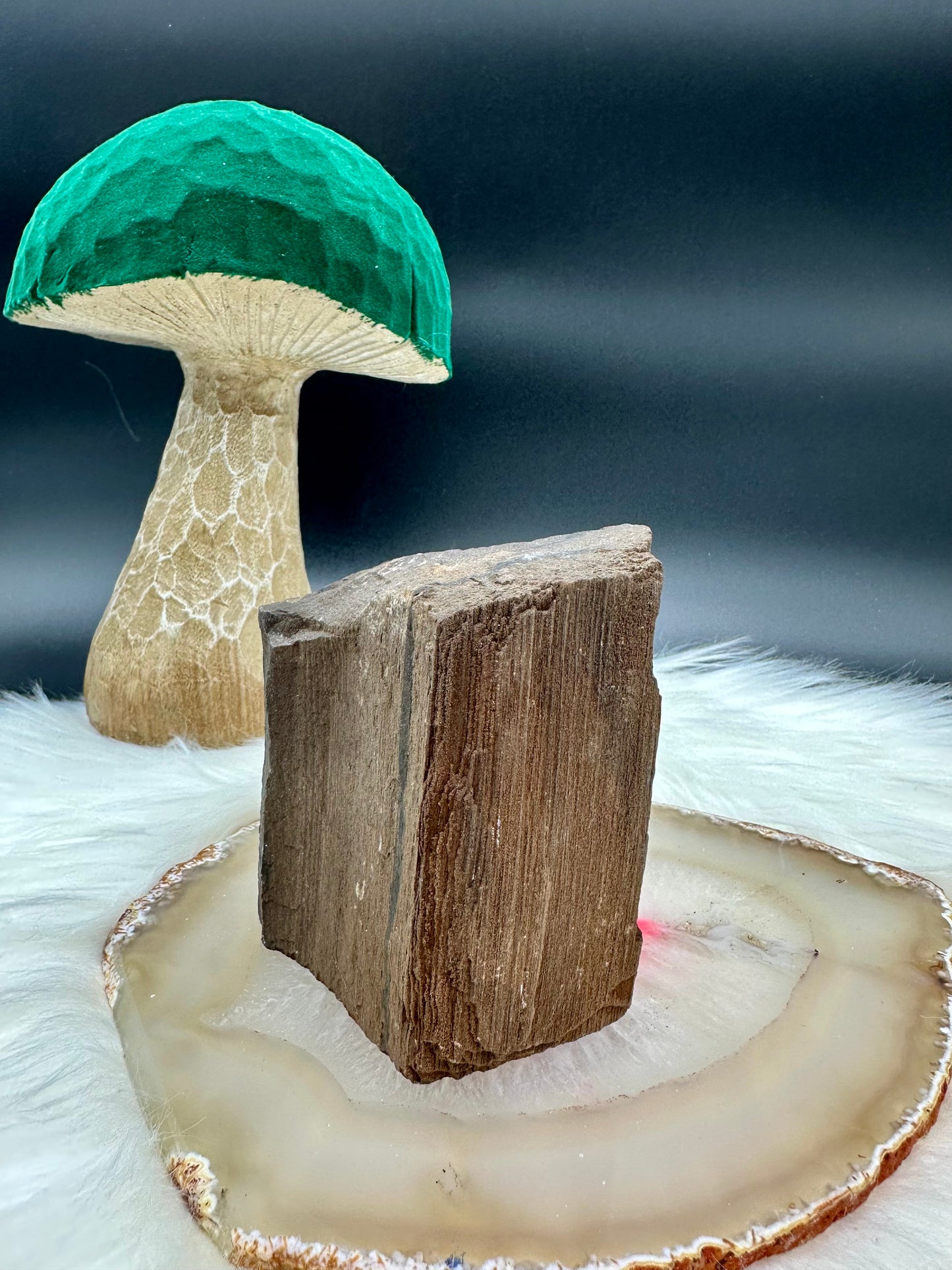 Versteinertes Holz - Feenholz