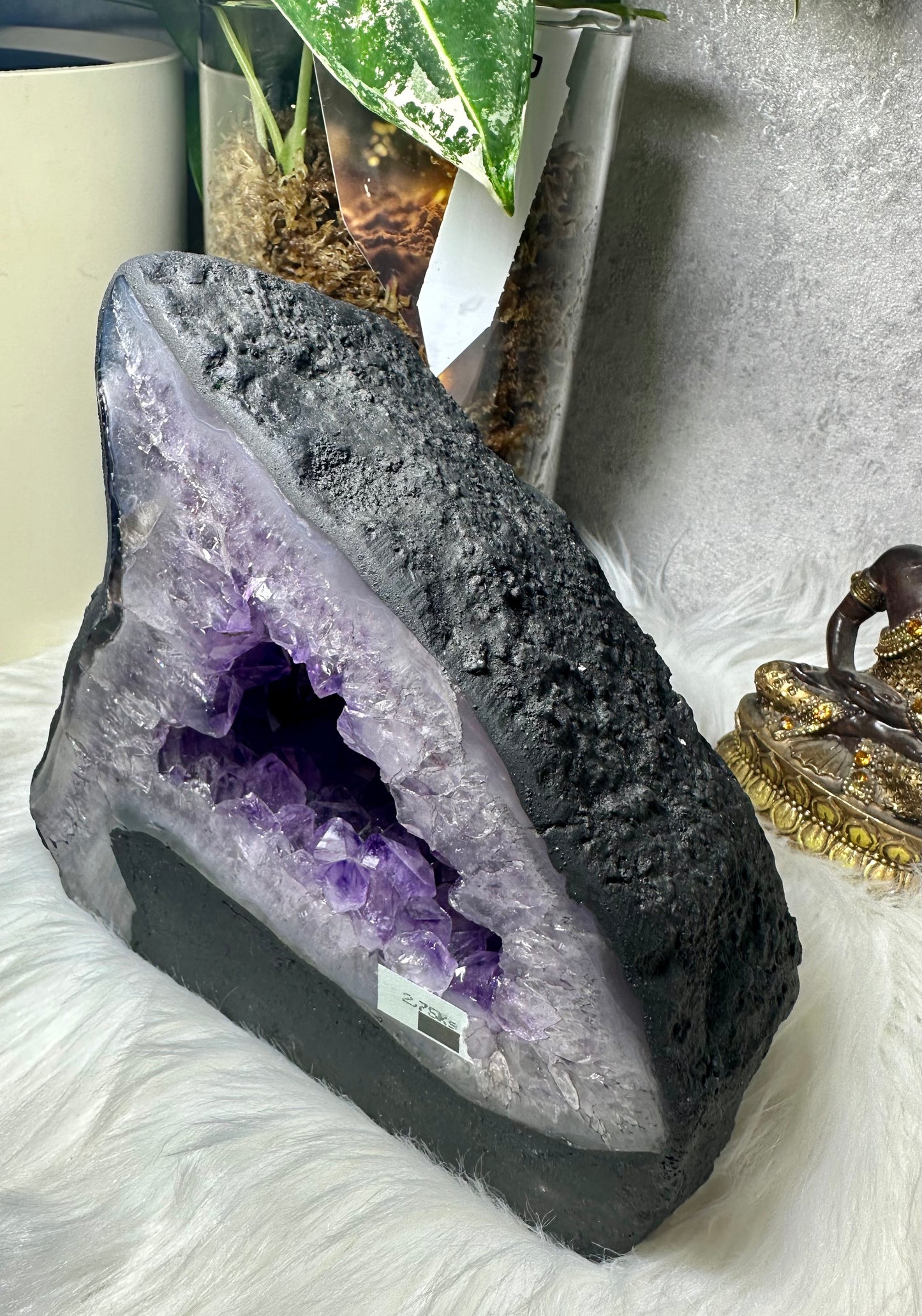 Amethyst Druse - Madagaskar