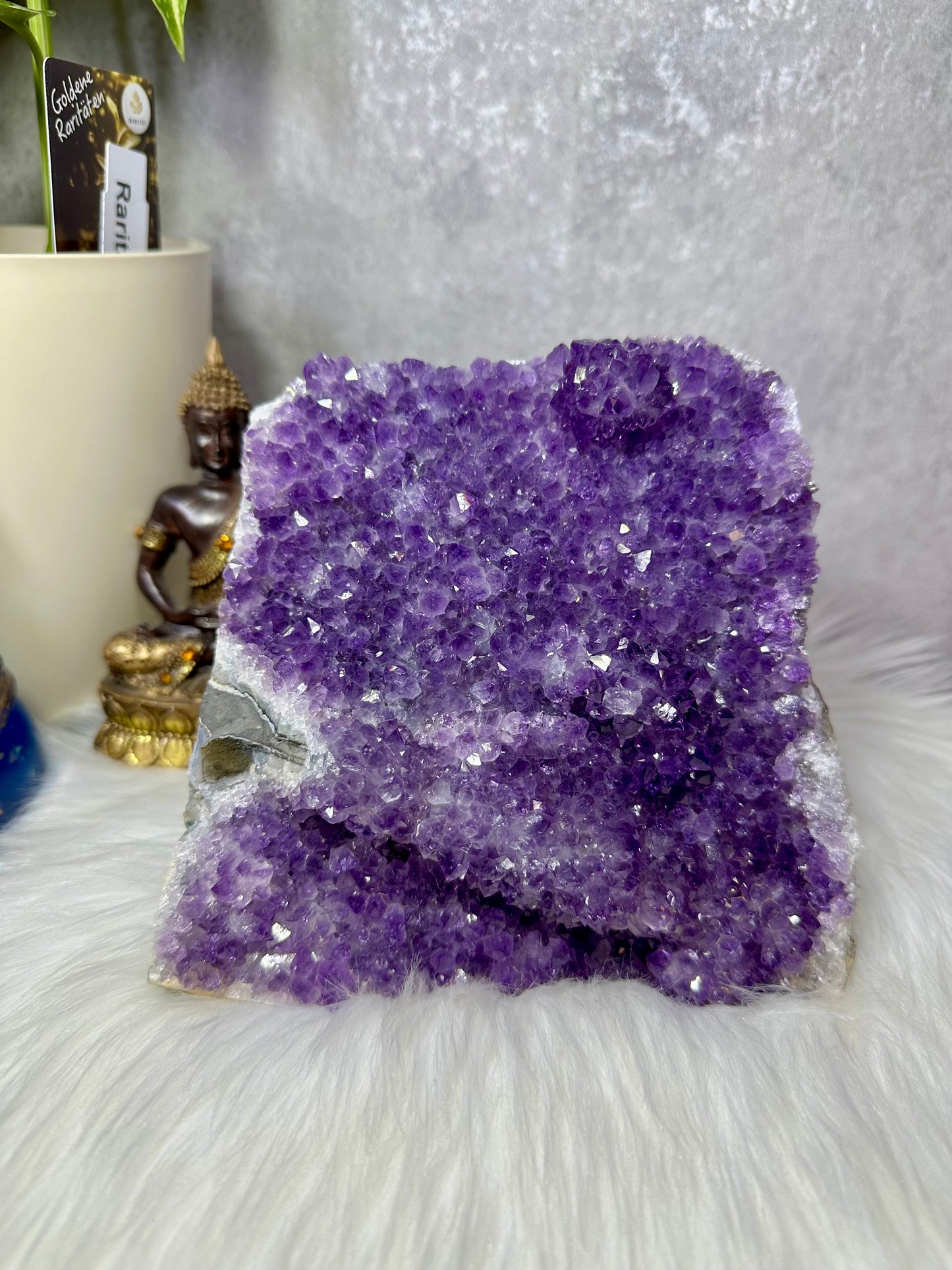 Amethyst Druse