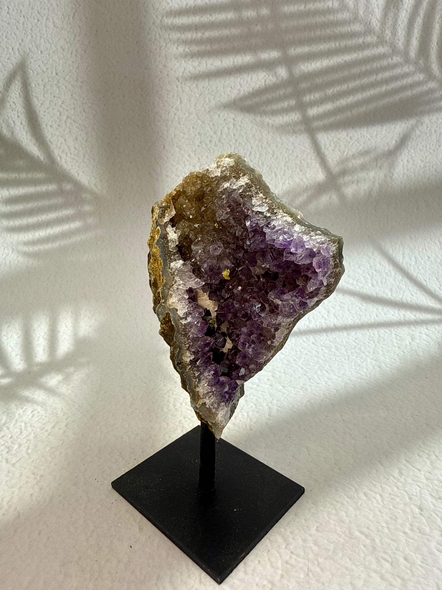Amethyst Druse auf Ständer V