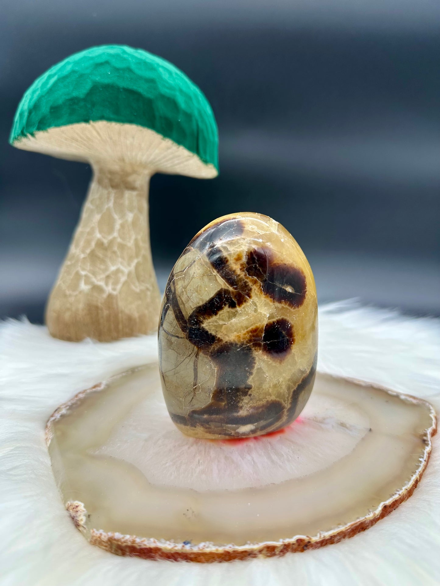 Septarie Freeform