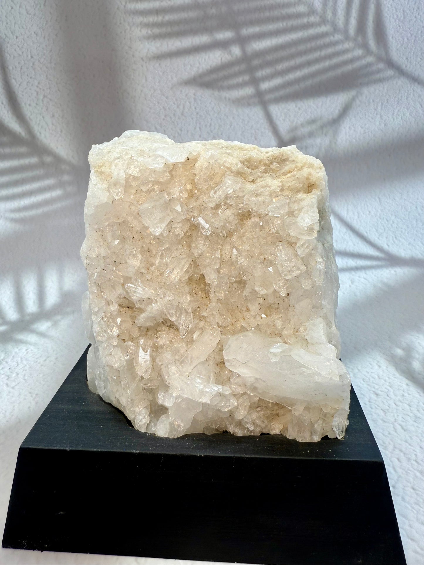 Bergkristall Druse auf Holzsockel II
