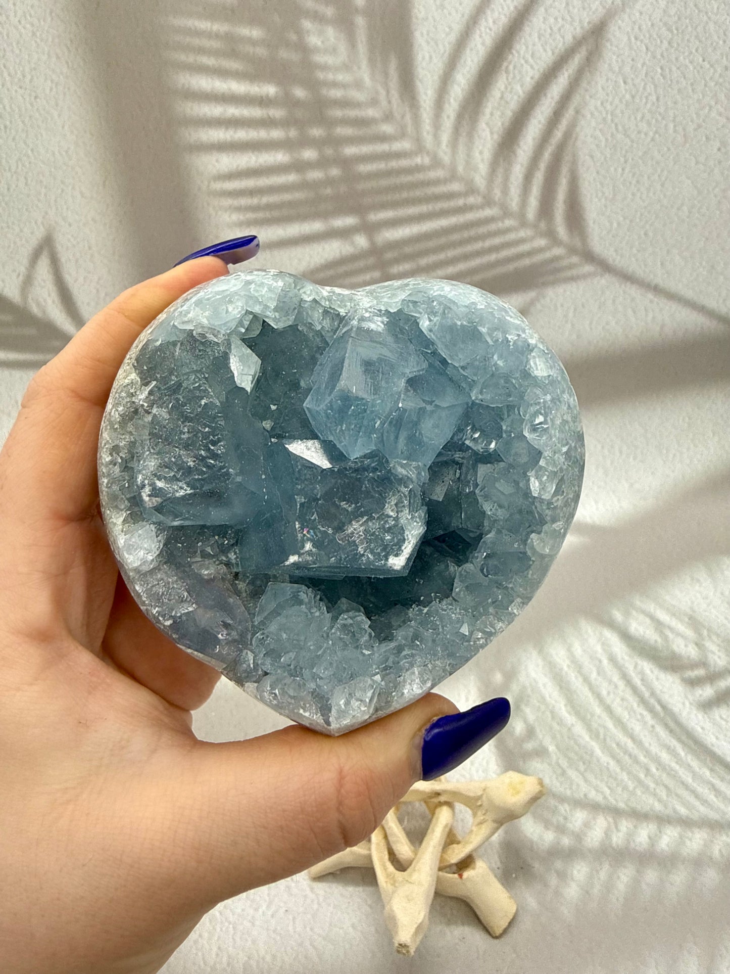 Coelestin Drusen Herz I