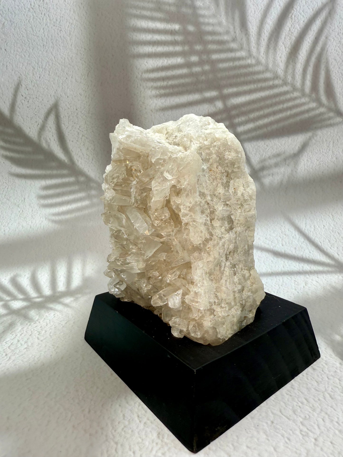 Bergkristall Druse auf Holzsockel I