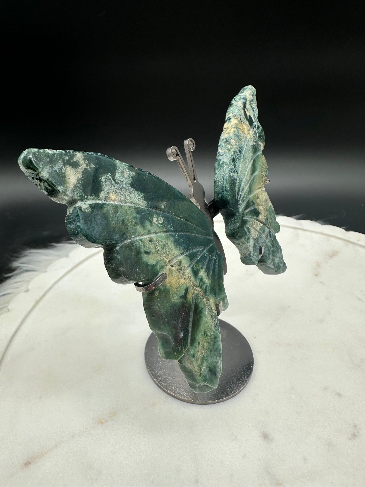 Moosachat Schmetterling