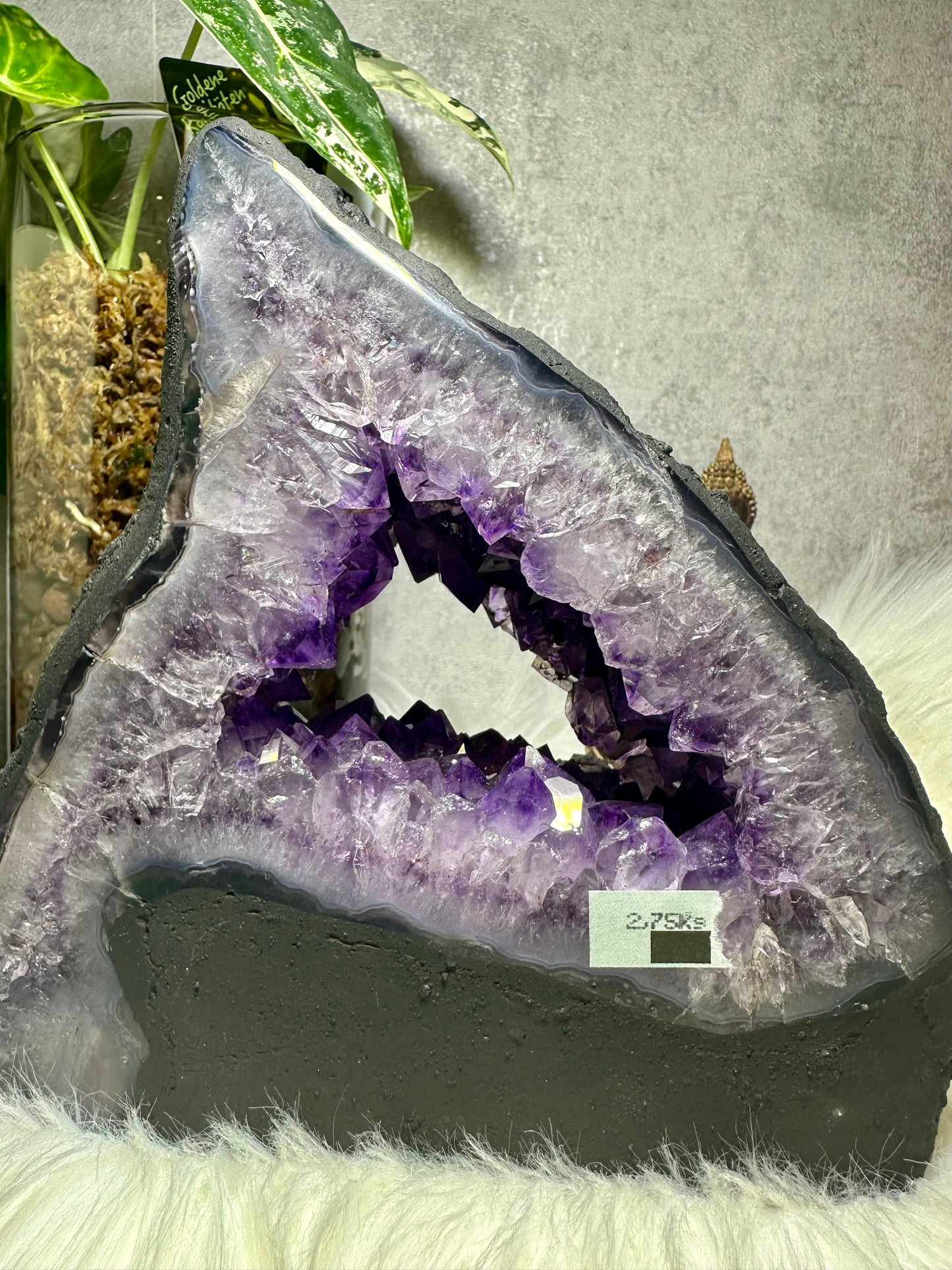 Amethyst Druse - Madagaskar