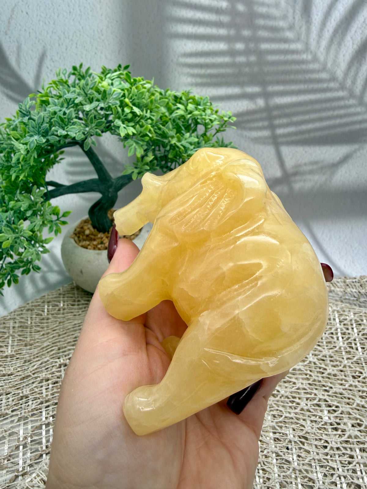 Orangencalcit Elefant - II