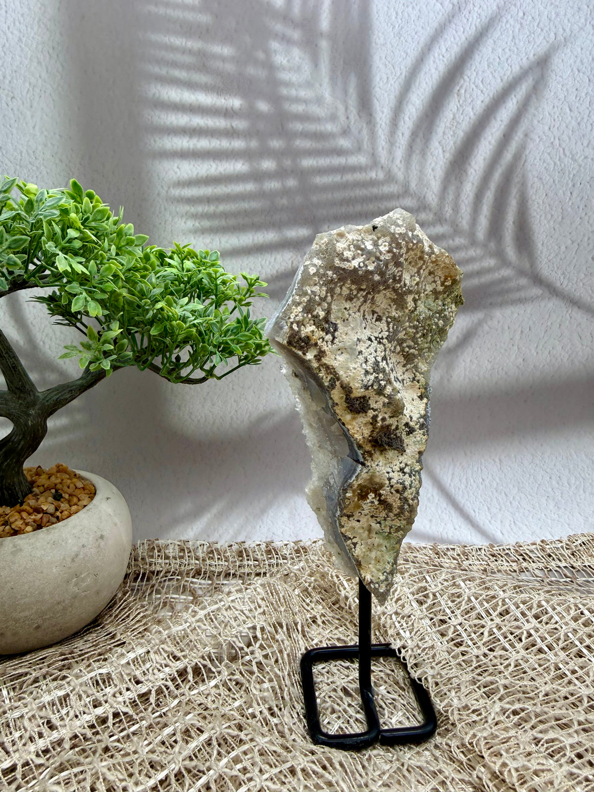 Zeolith auf Ständer - VII