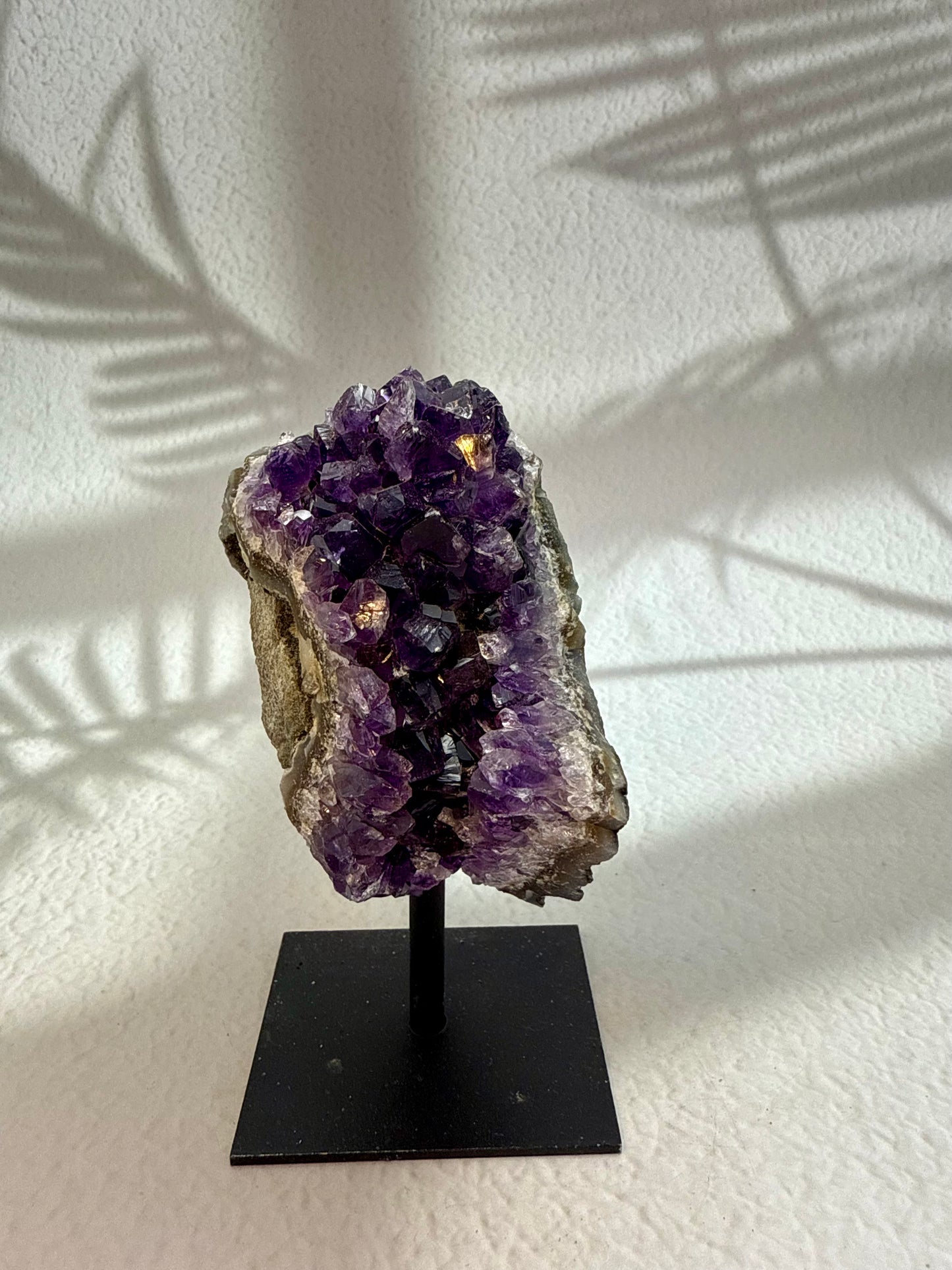 Amethyst auf Ständer X