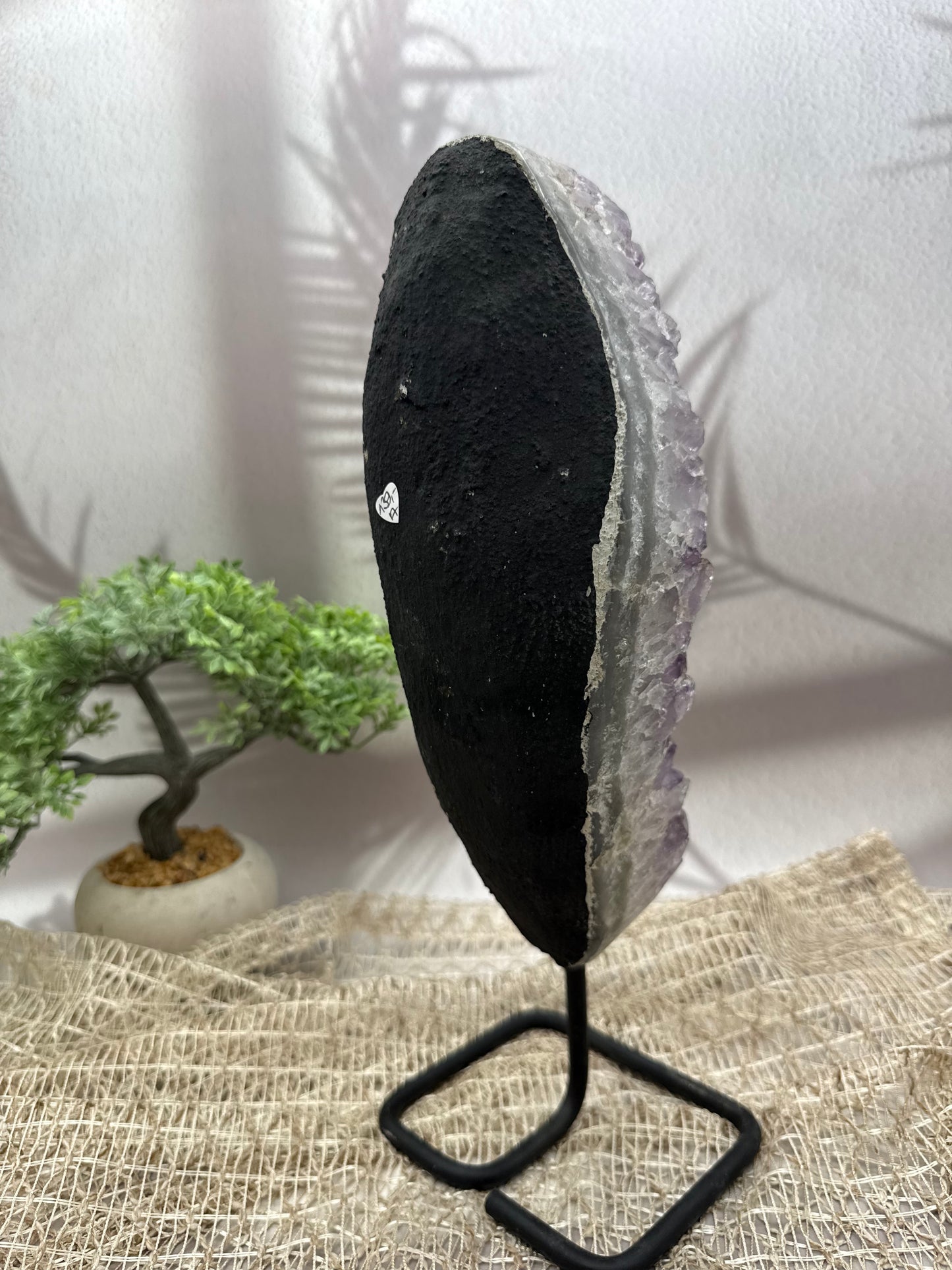 Amethyst auf Ständer - I - 3,1kg
