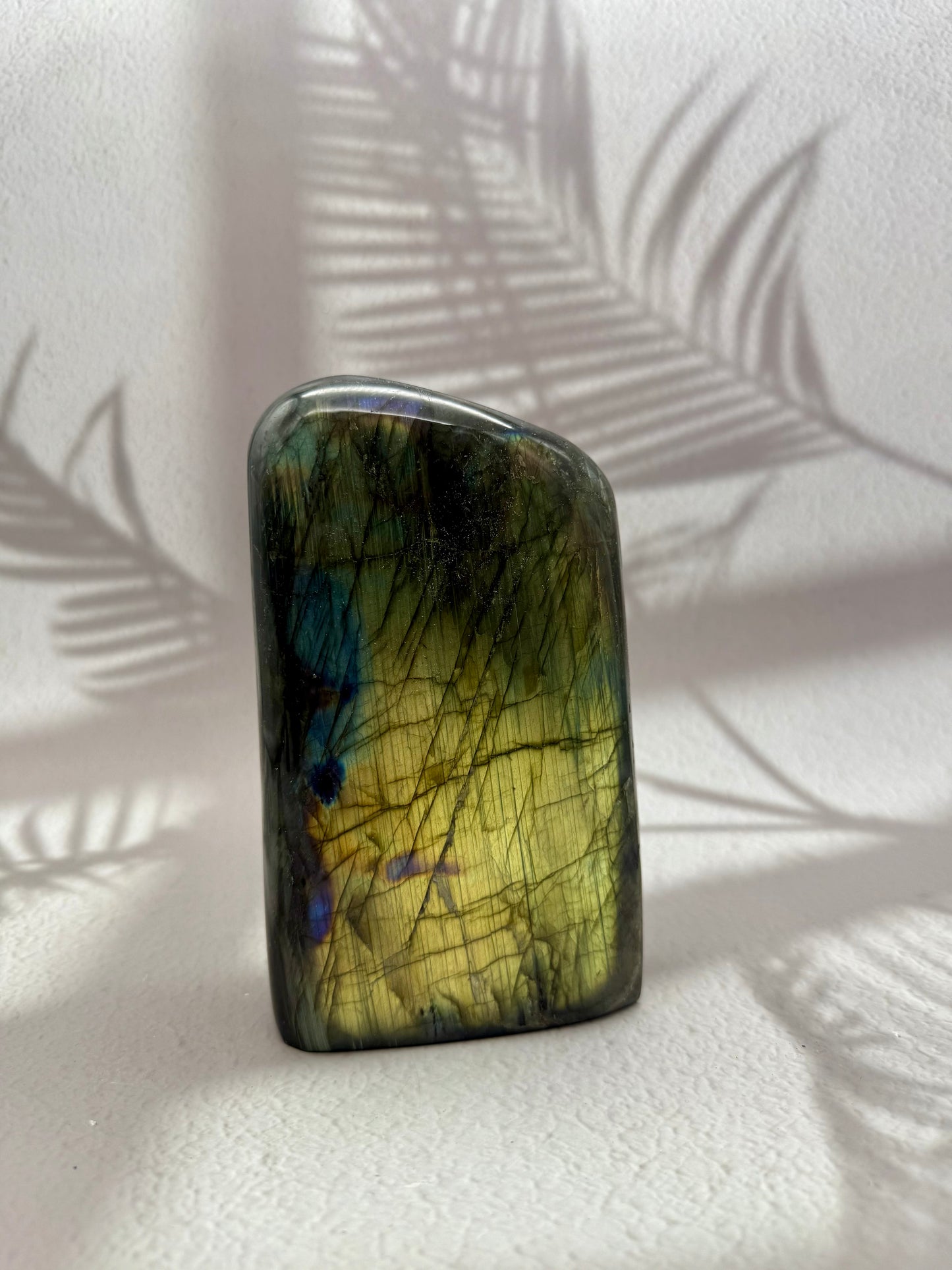 Labradorit Freiform VIII