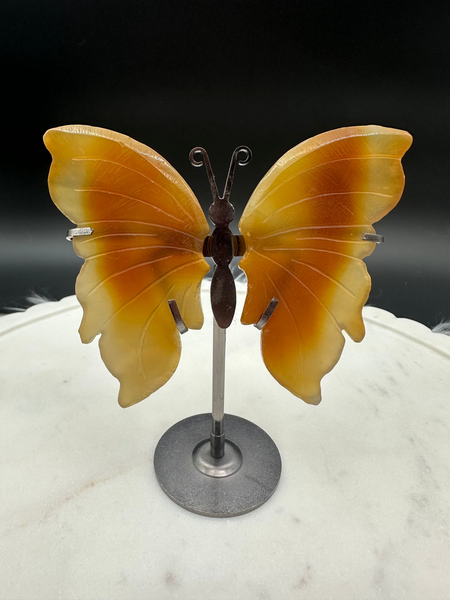 Achat Schmetterling