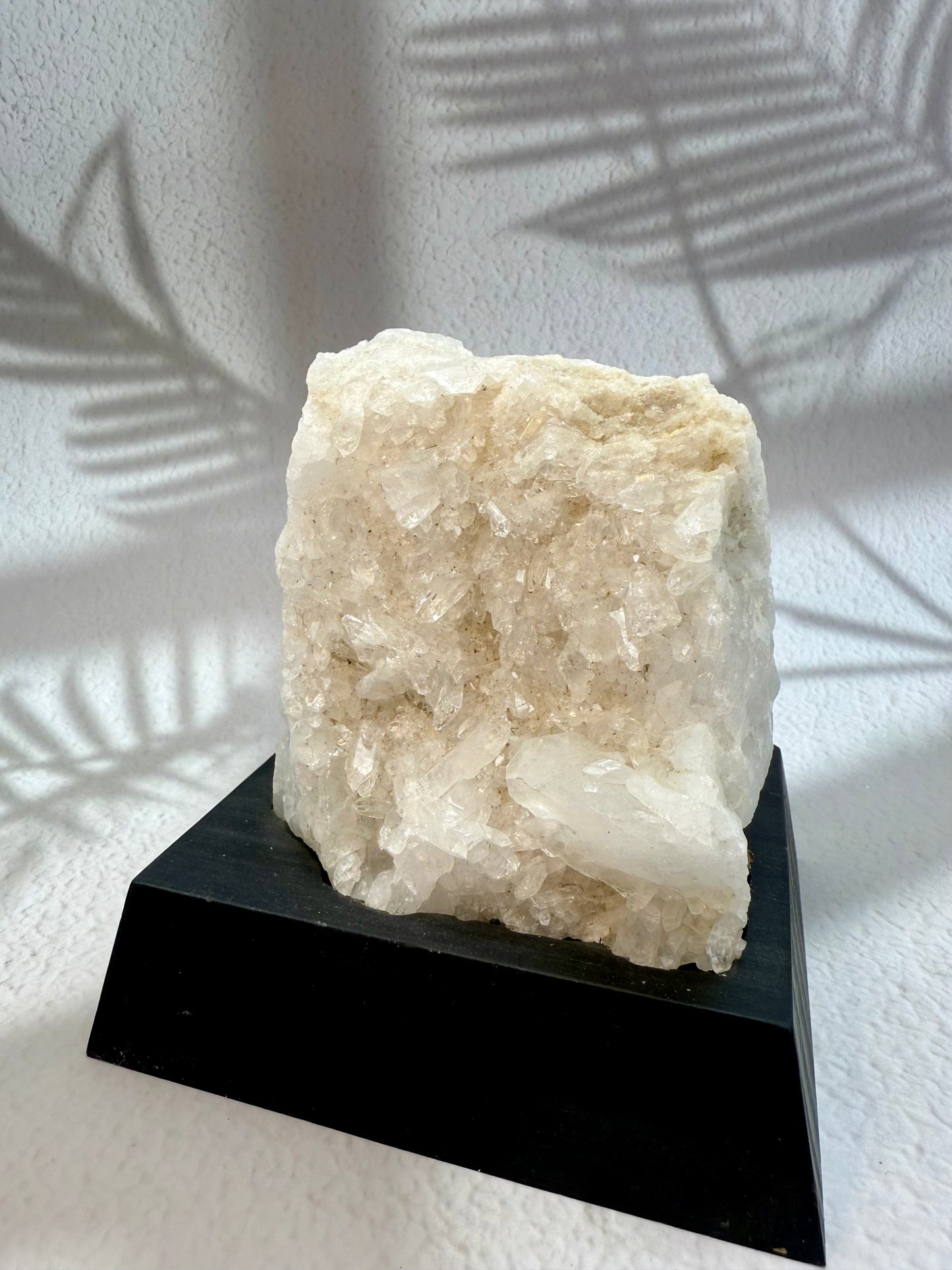 Bergkristall Druse auf Holzsockel II