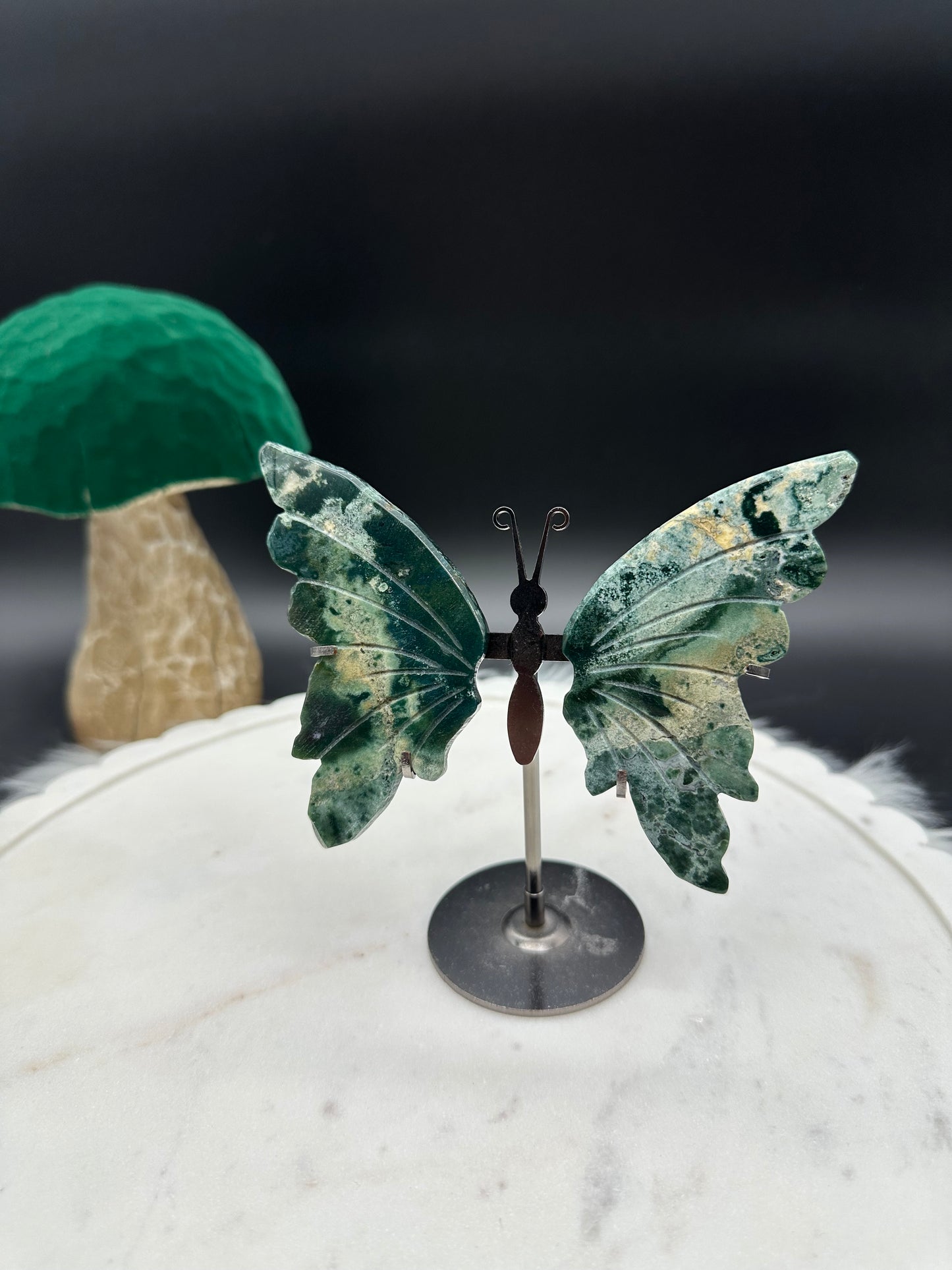 Moosachat Schmetterling
