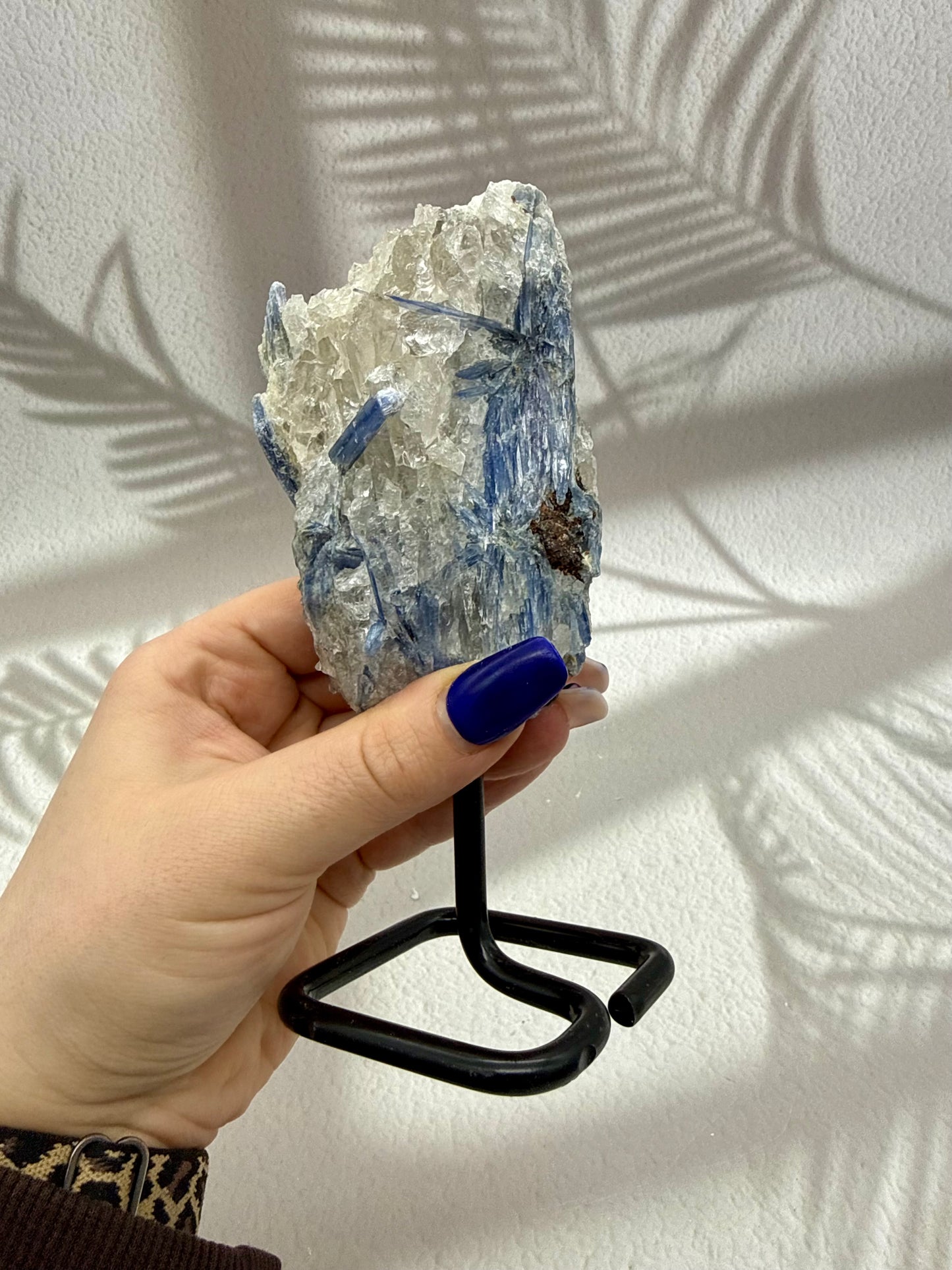 Blauer Kyanit VIII