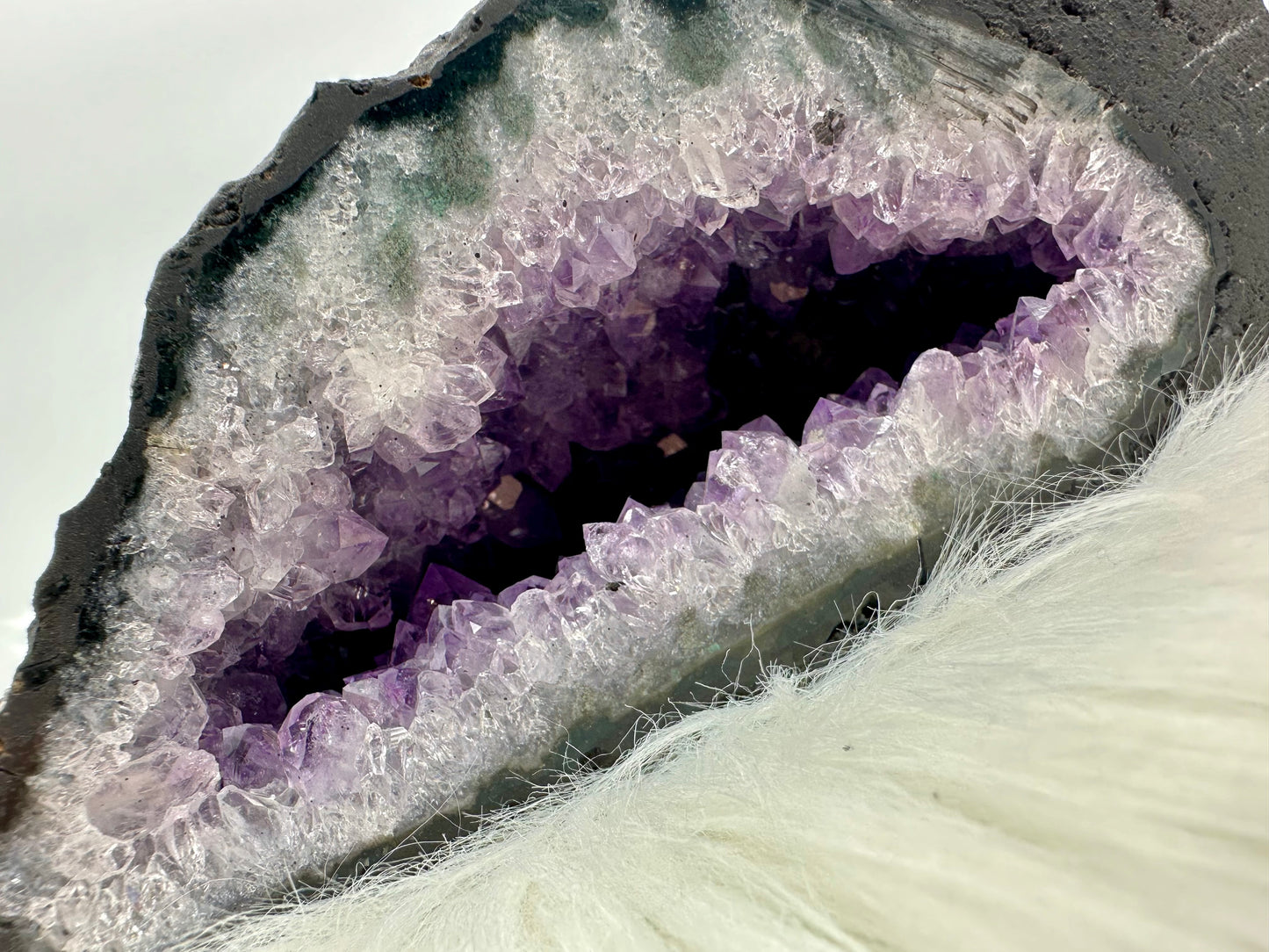 Amethystdruse aus Brasilien
