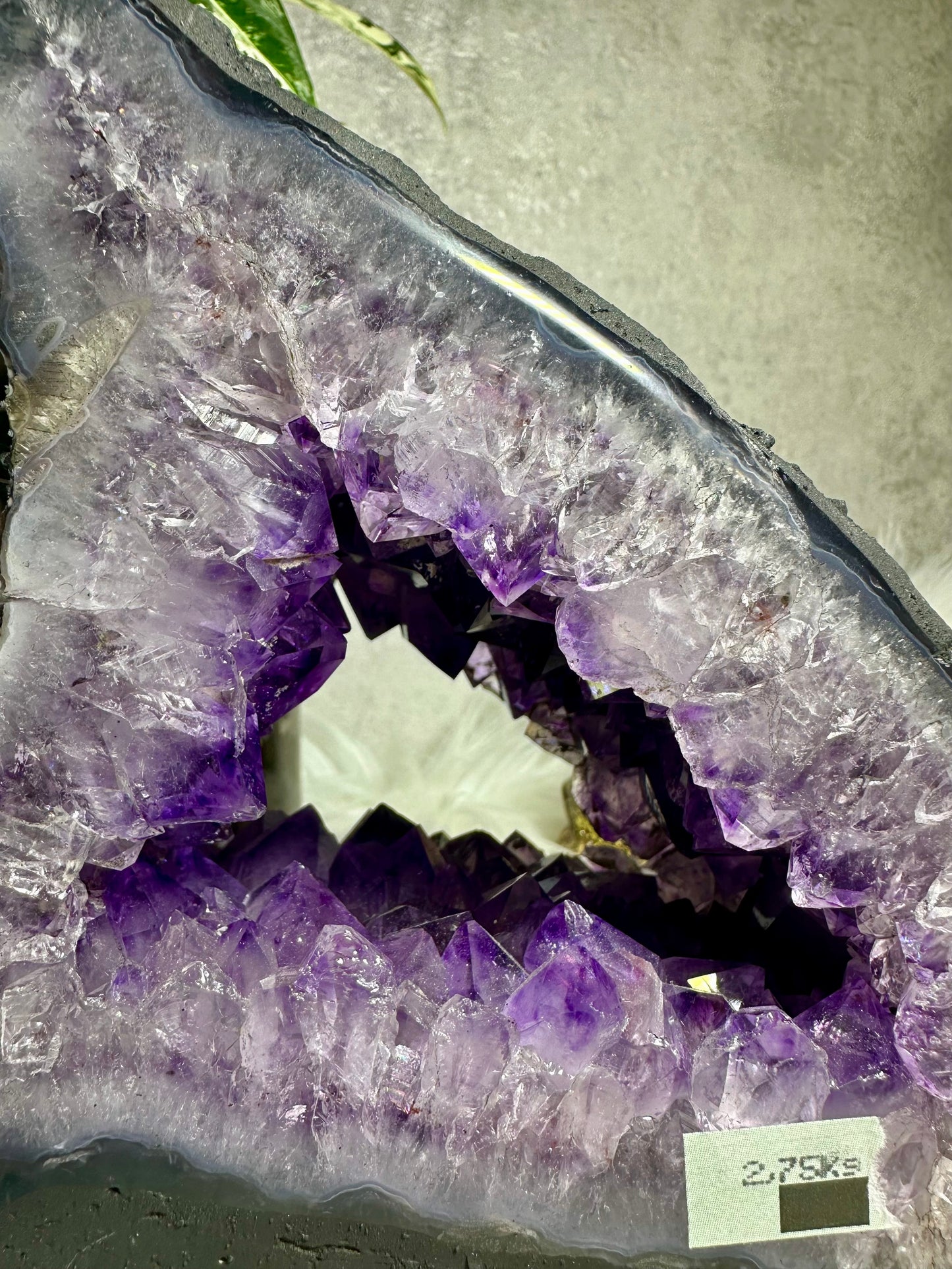 Amethyst Druse - Madagaskar