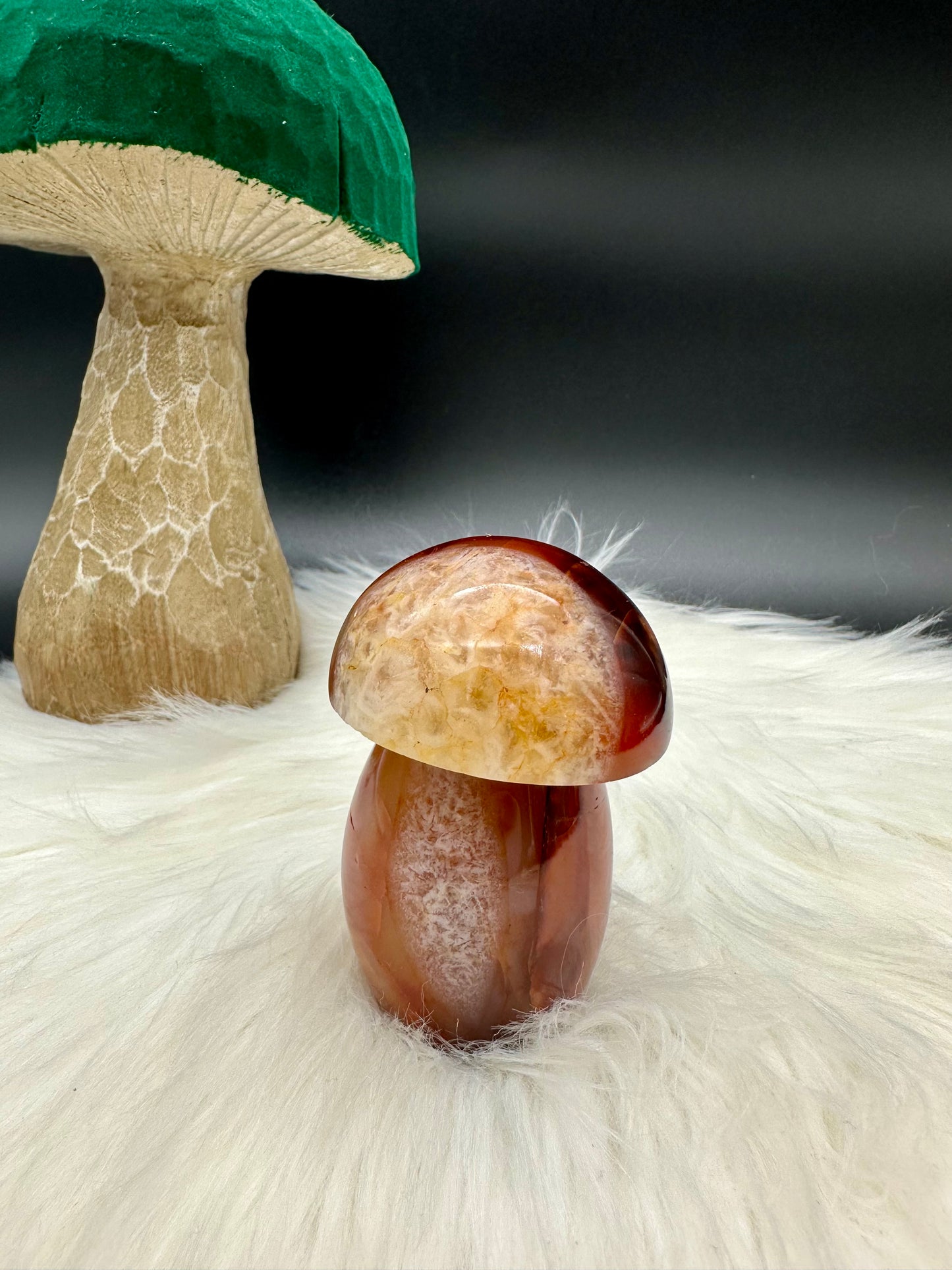 Karneol Pilz