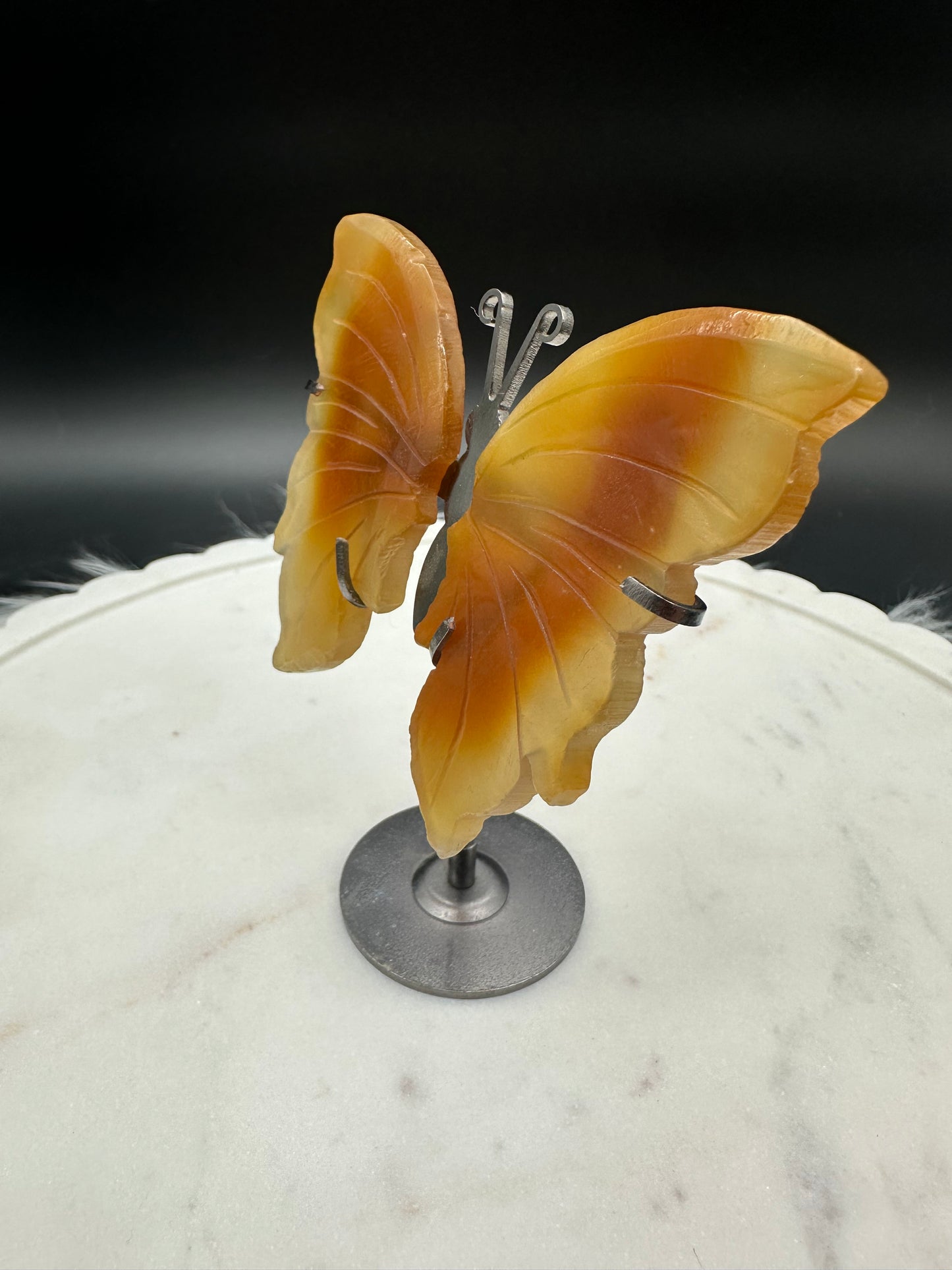 Achat Schmetterling