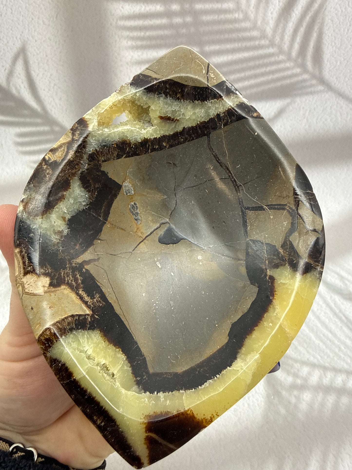 Septarie Schale mit Druse