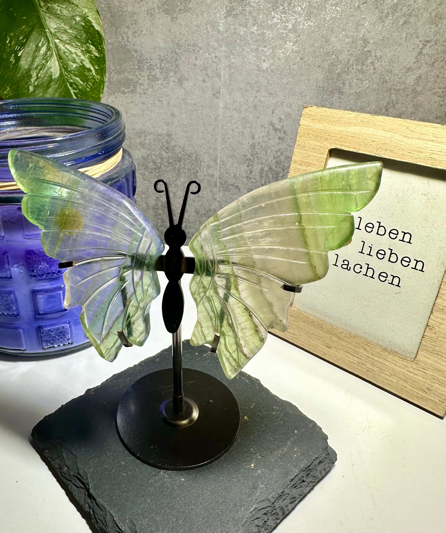 Regenbogen Fluorit Schmetterling auf Metallständer